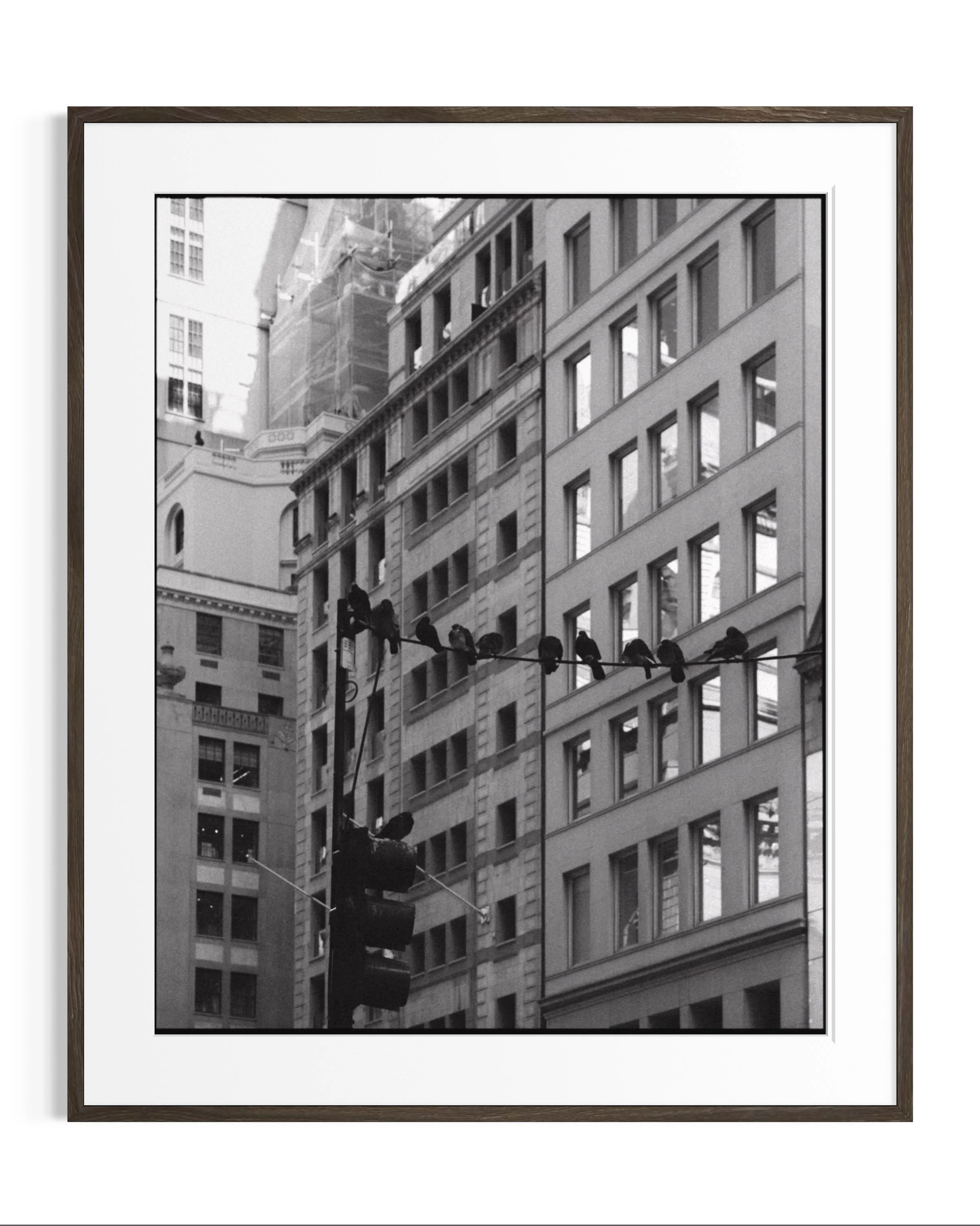 NYC in monochrome · 29