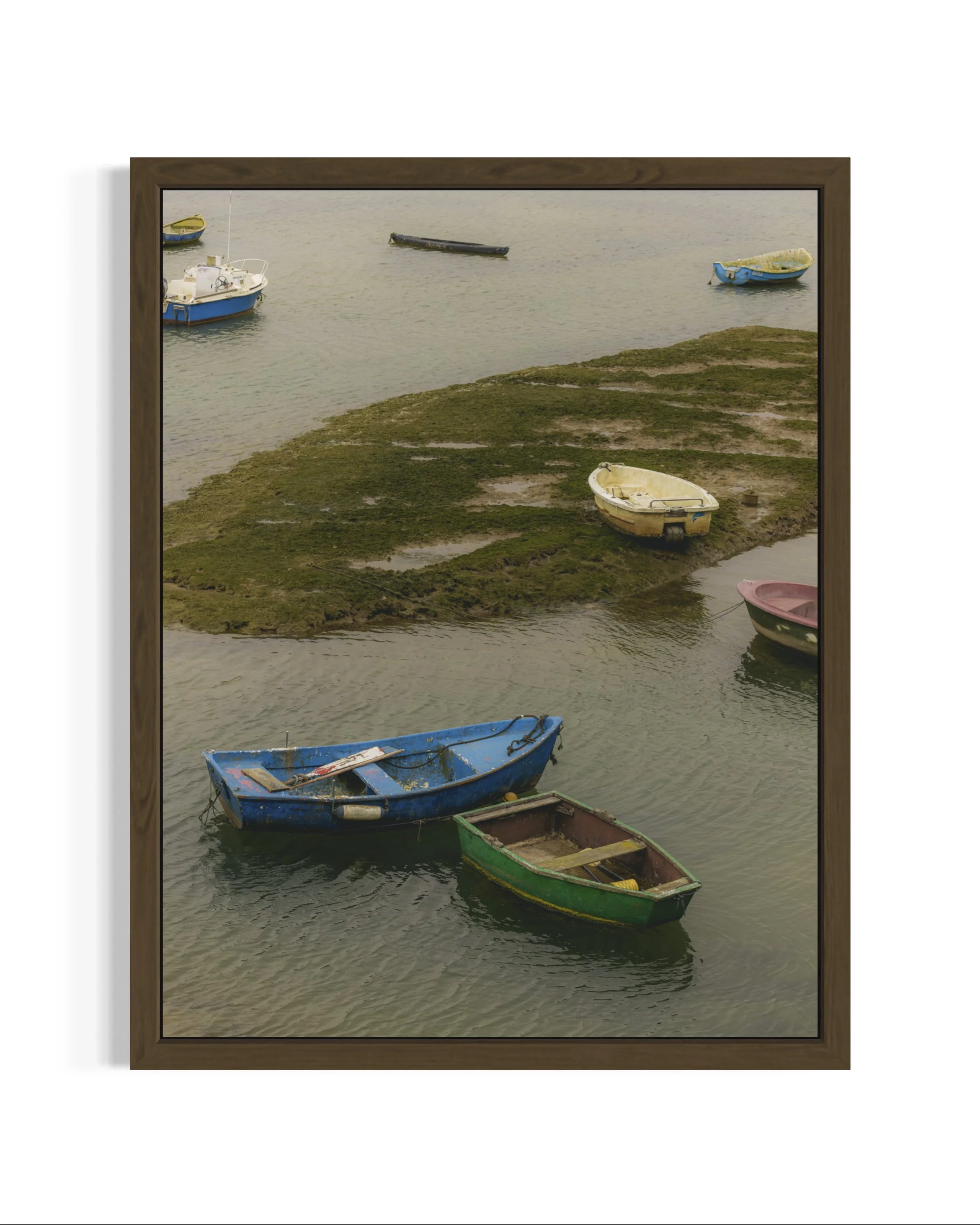 Cantabria · 36