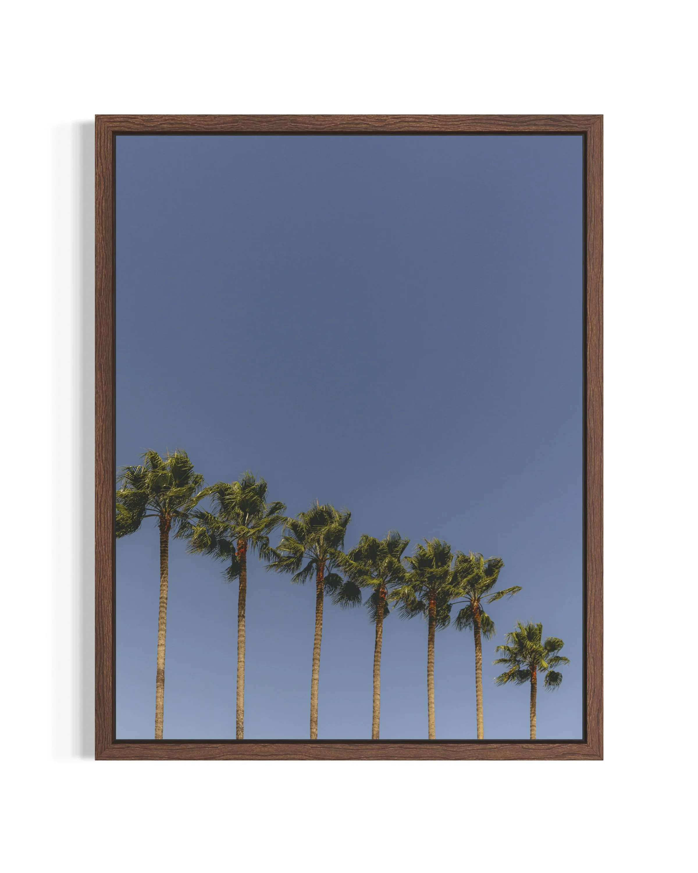 Along the Riviera · 18