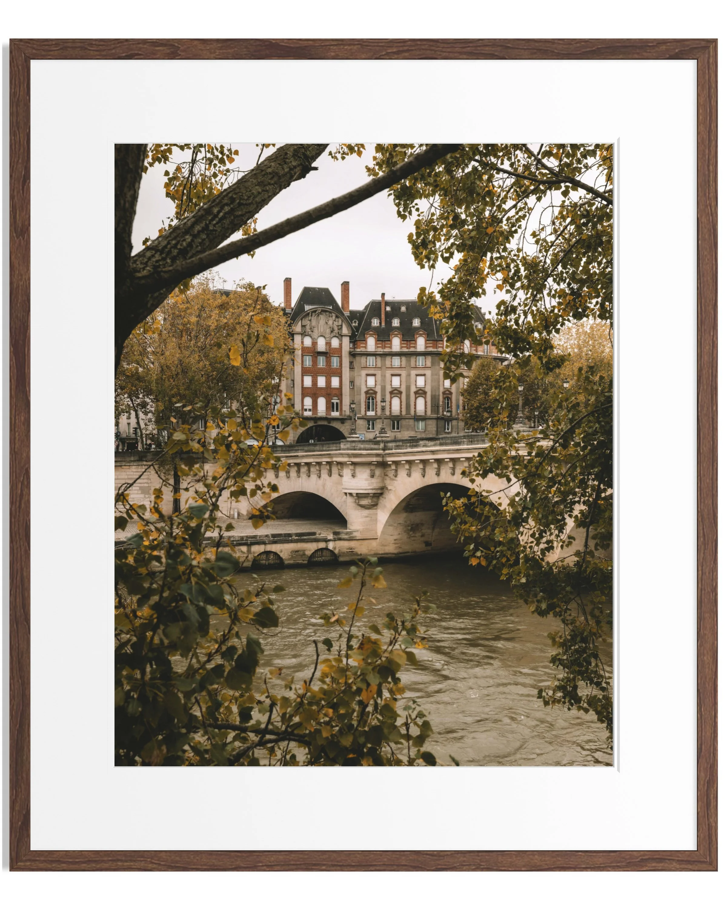 Notes from Paris · 47