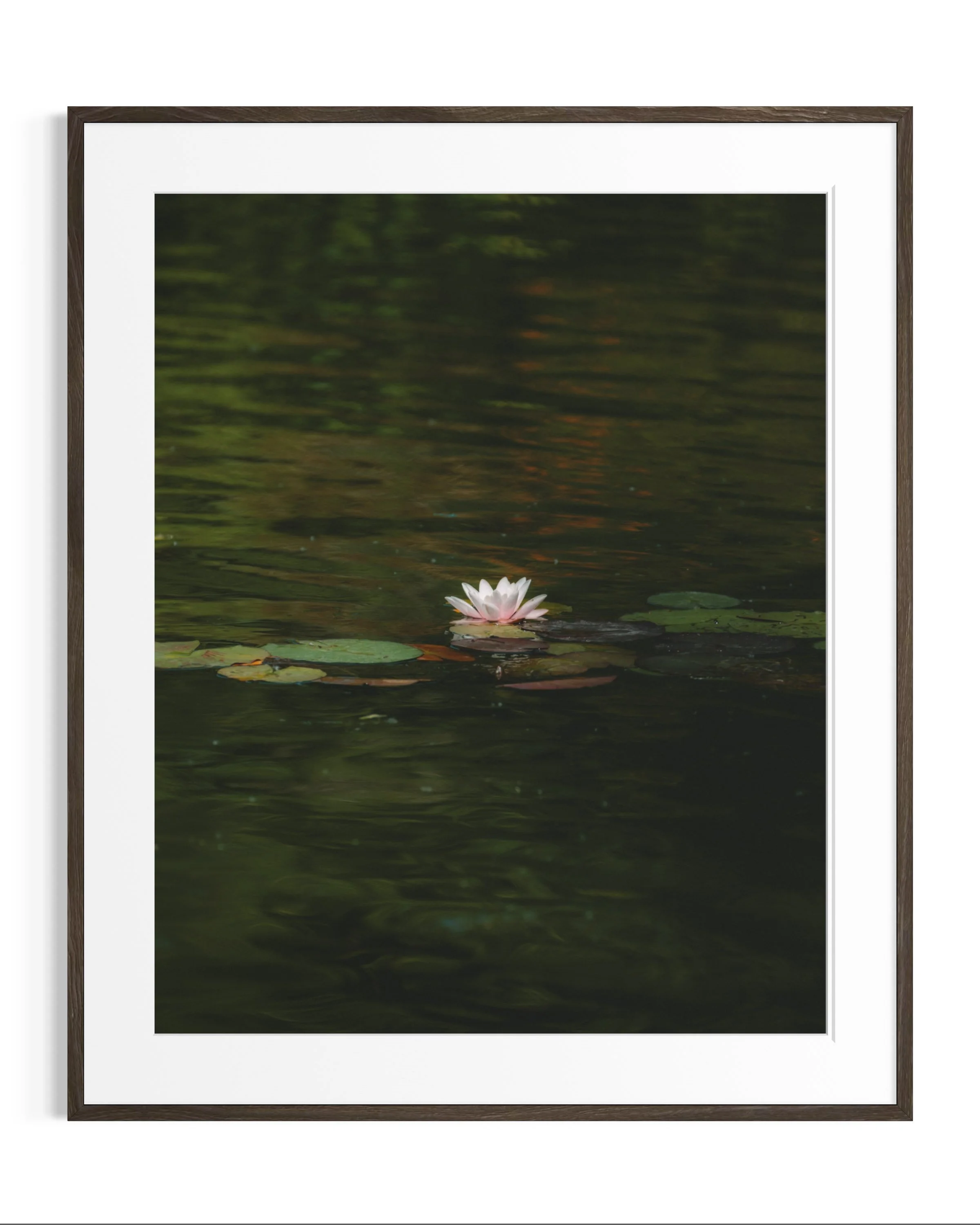 Giverny, in bloom · 24