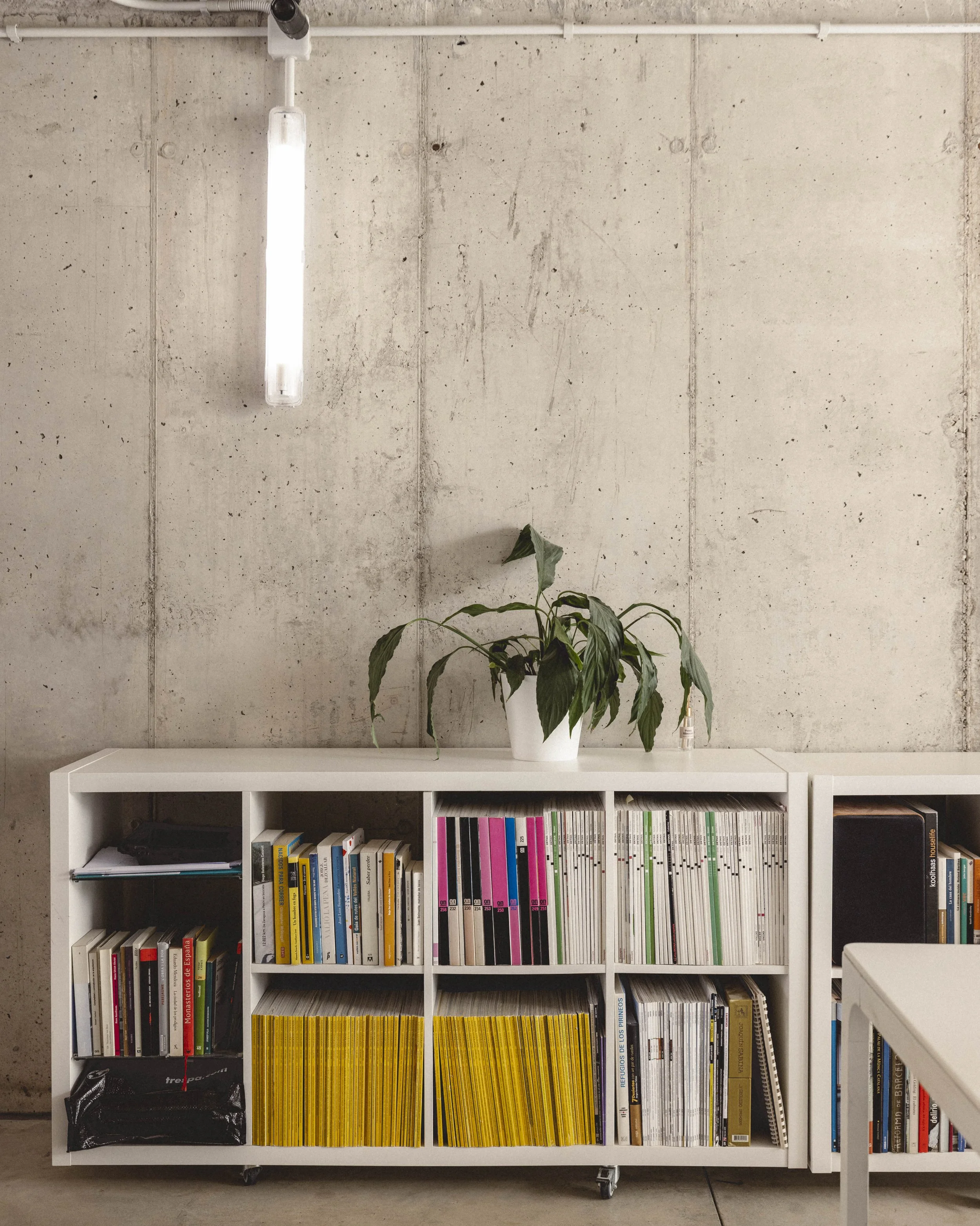 Eyvan Shoot equipo ·11.jpg