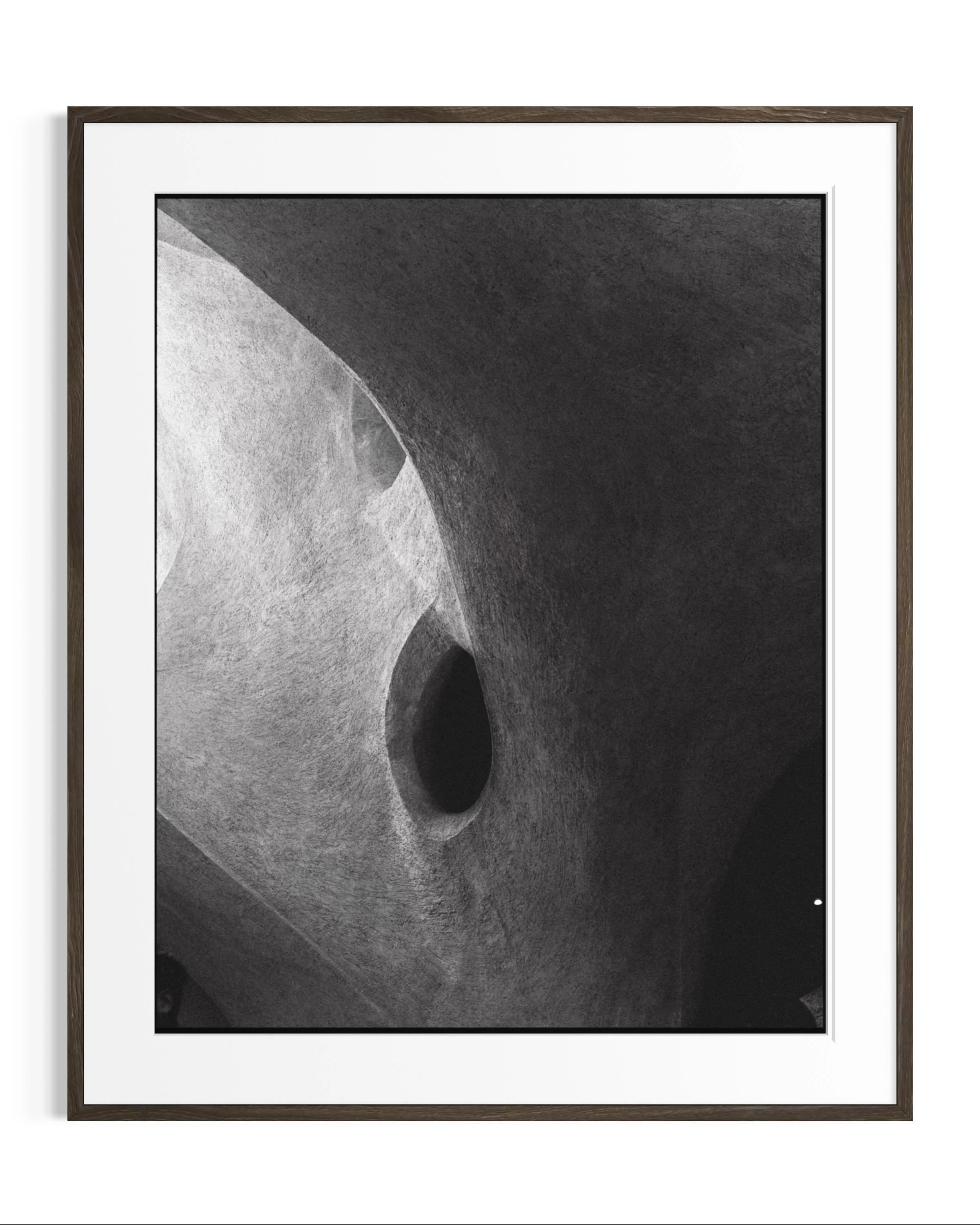 Forms of Natural History · 4