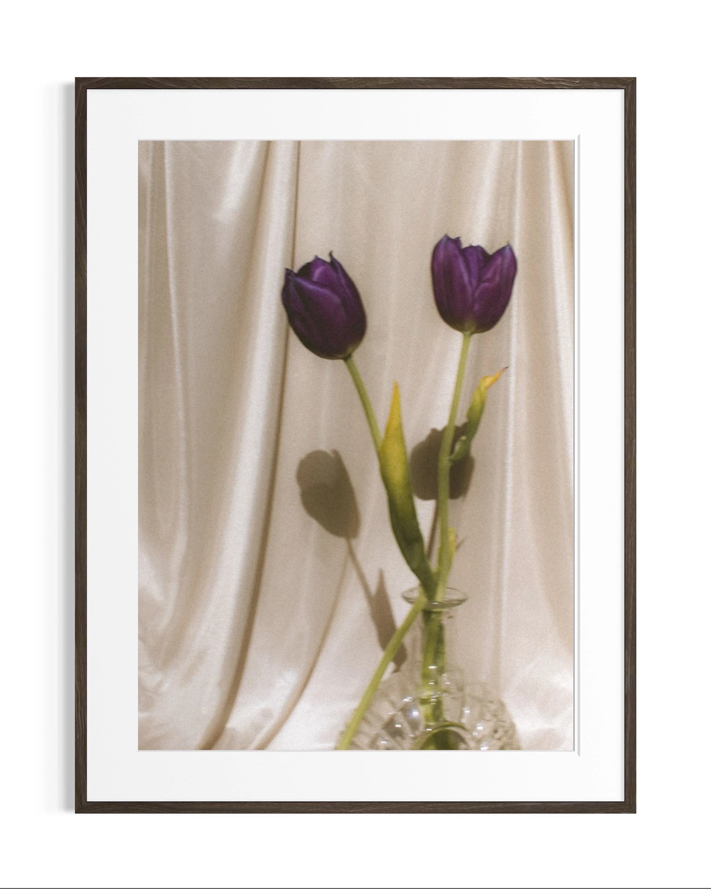 Still life studies · 5