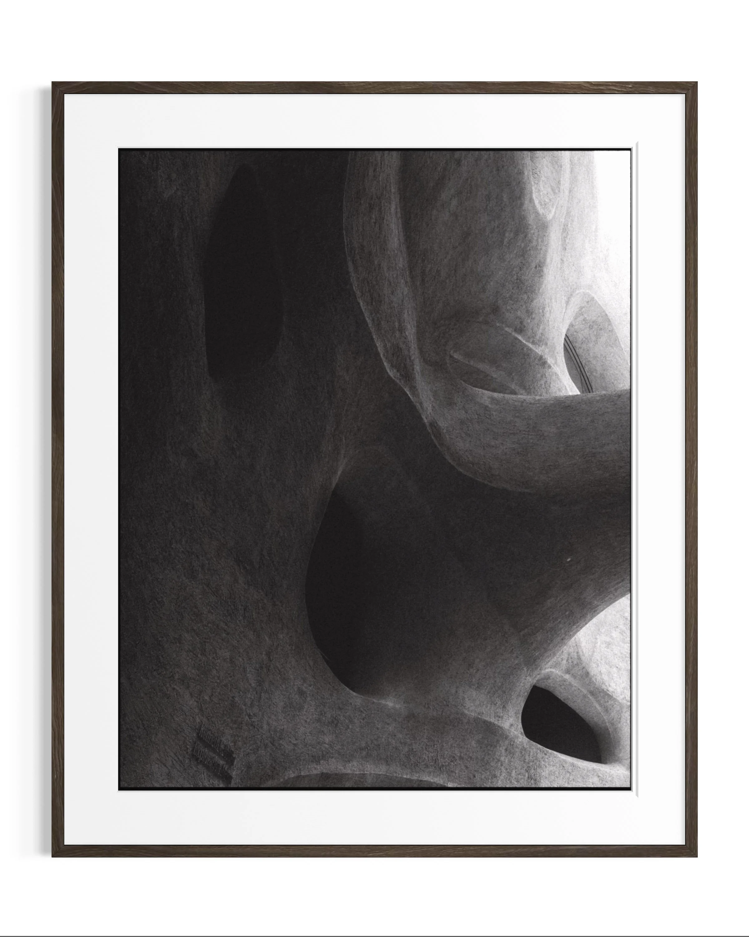 Forms of Natural History · 2