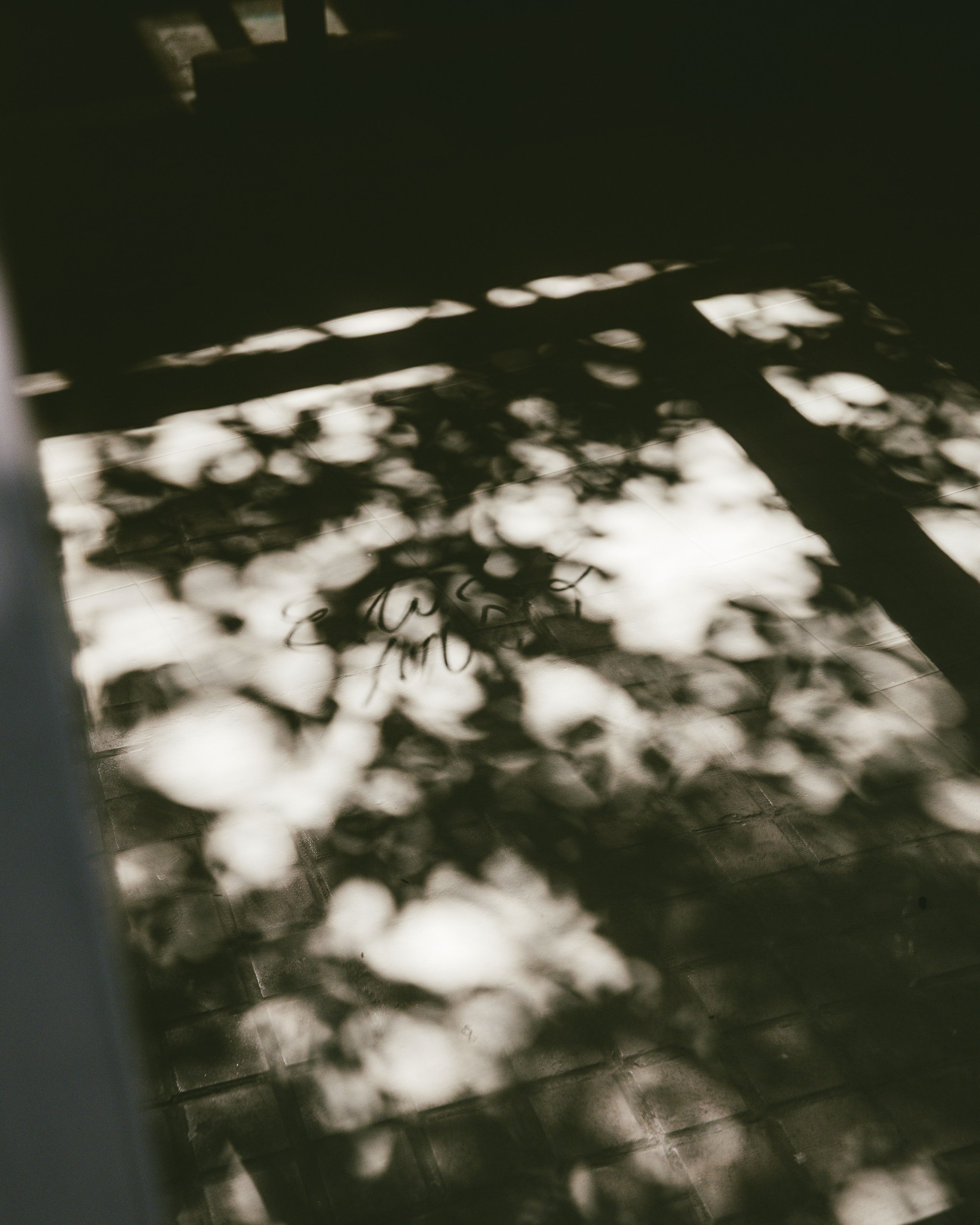 Museo Estudio ·8.jpg