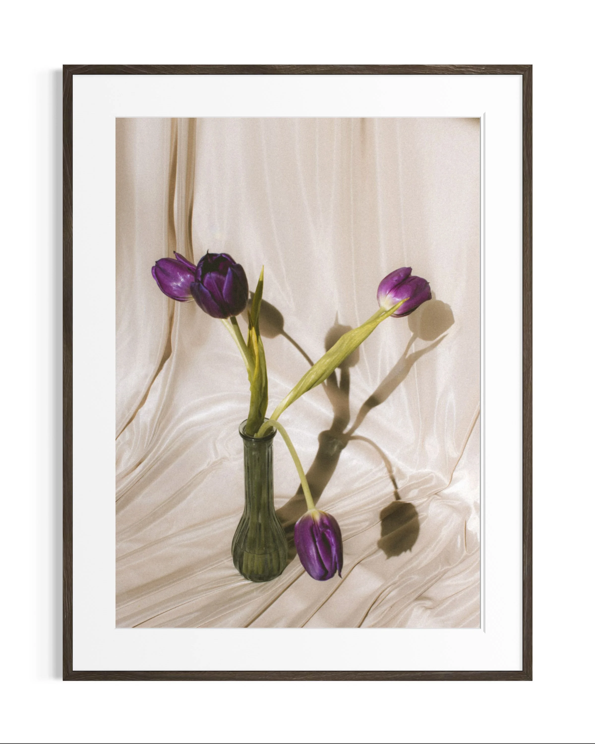 Still life studies · 2