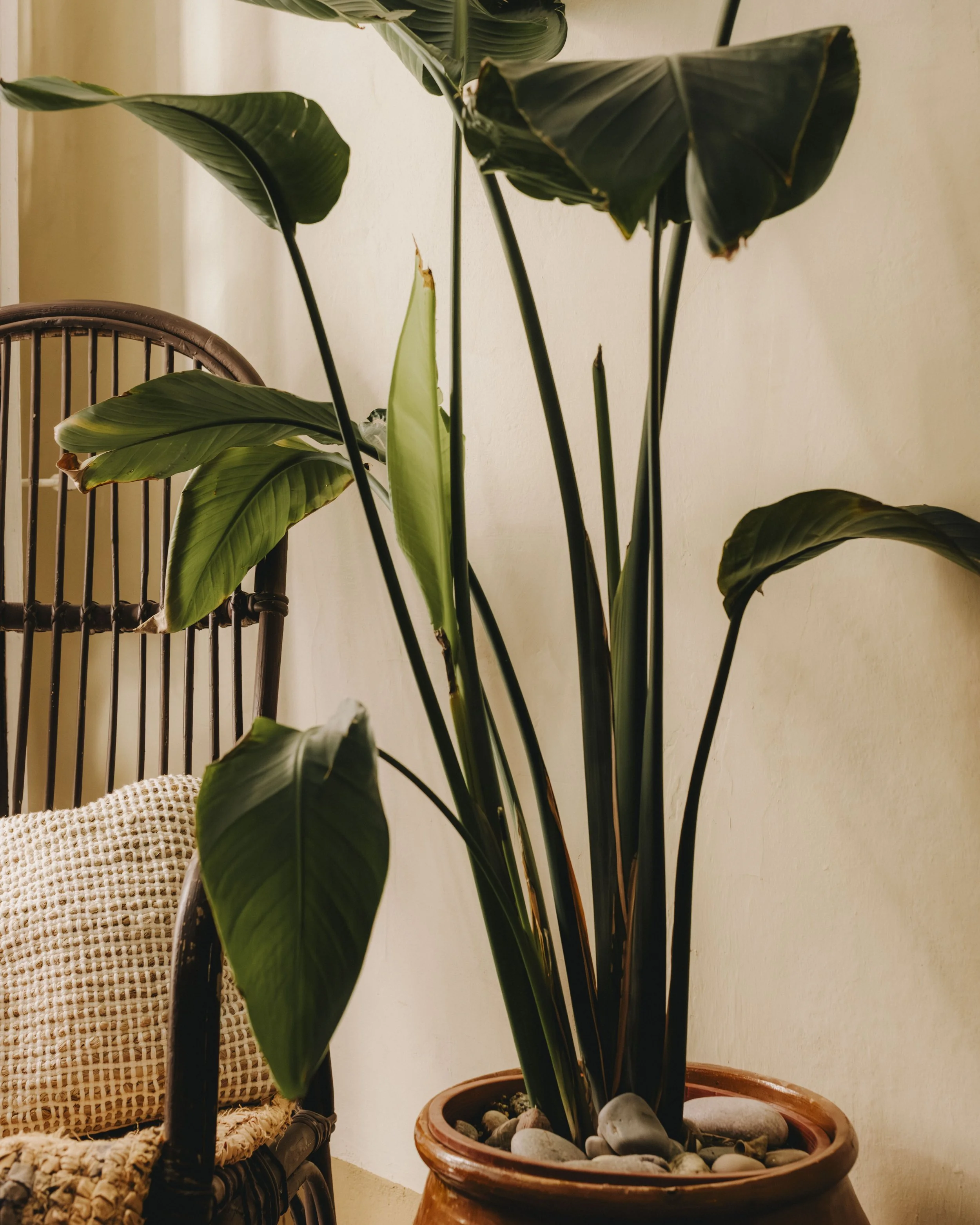 Assaoradors ·59 - Print.jpg