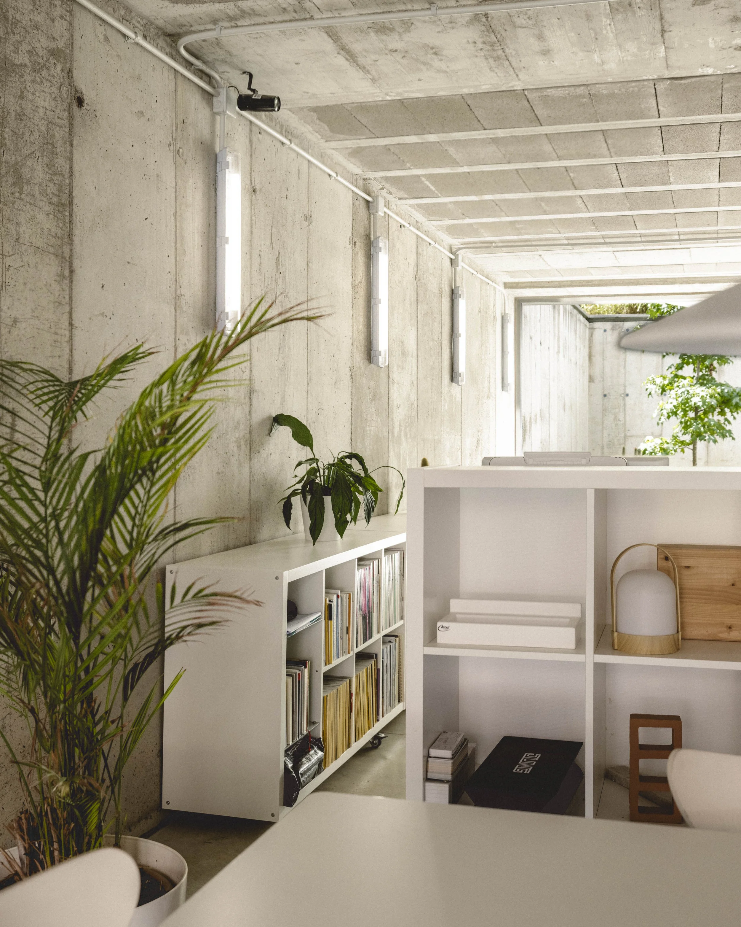 Eyvan Shoot equipo ·7.jpg