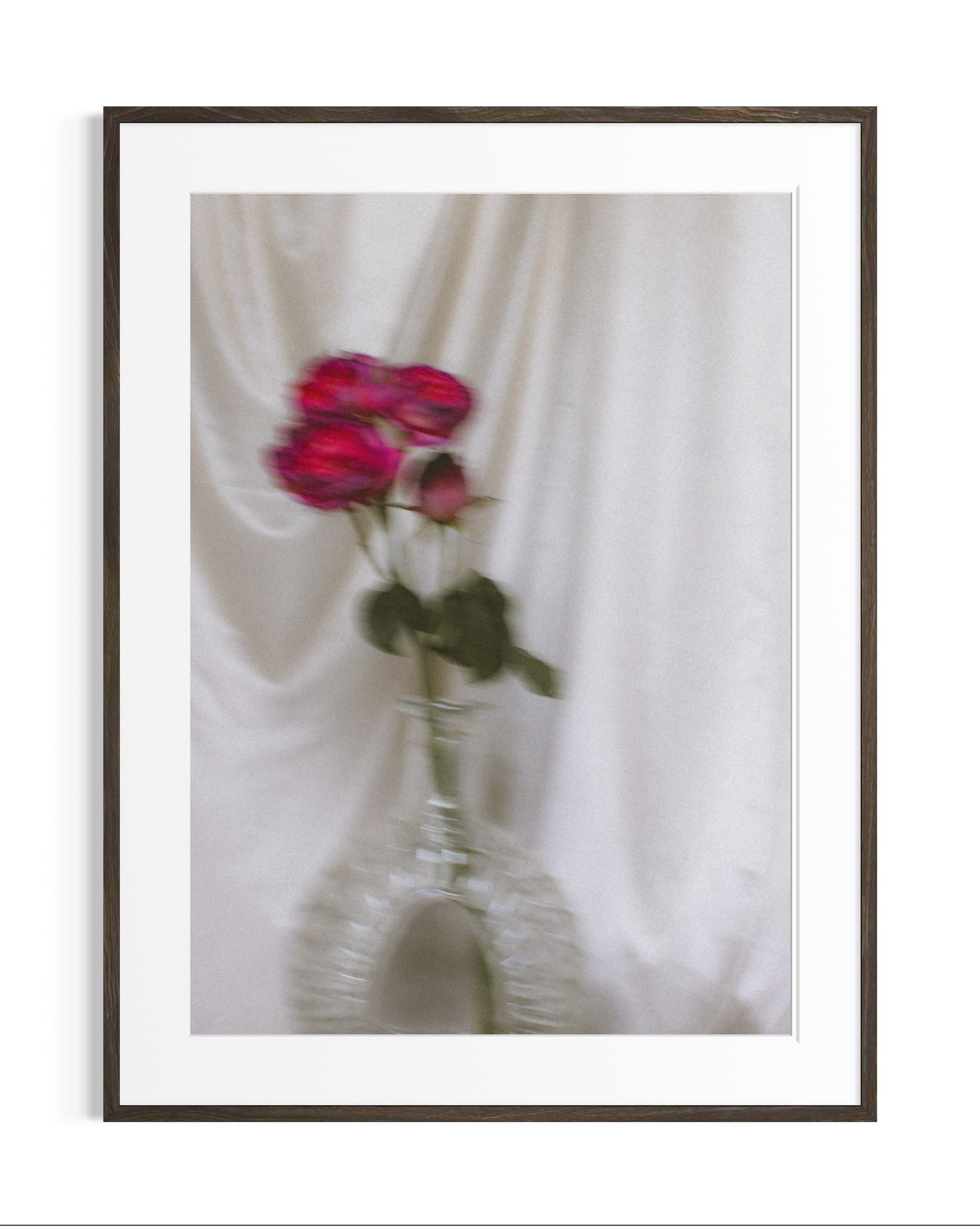 Still life studies · 9