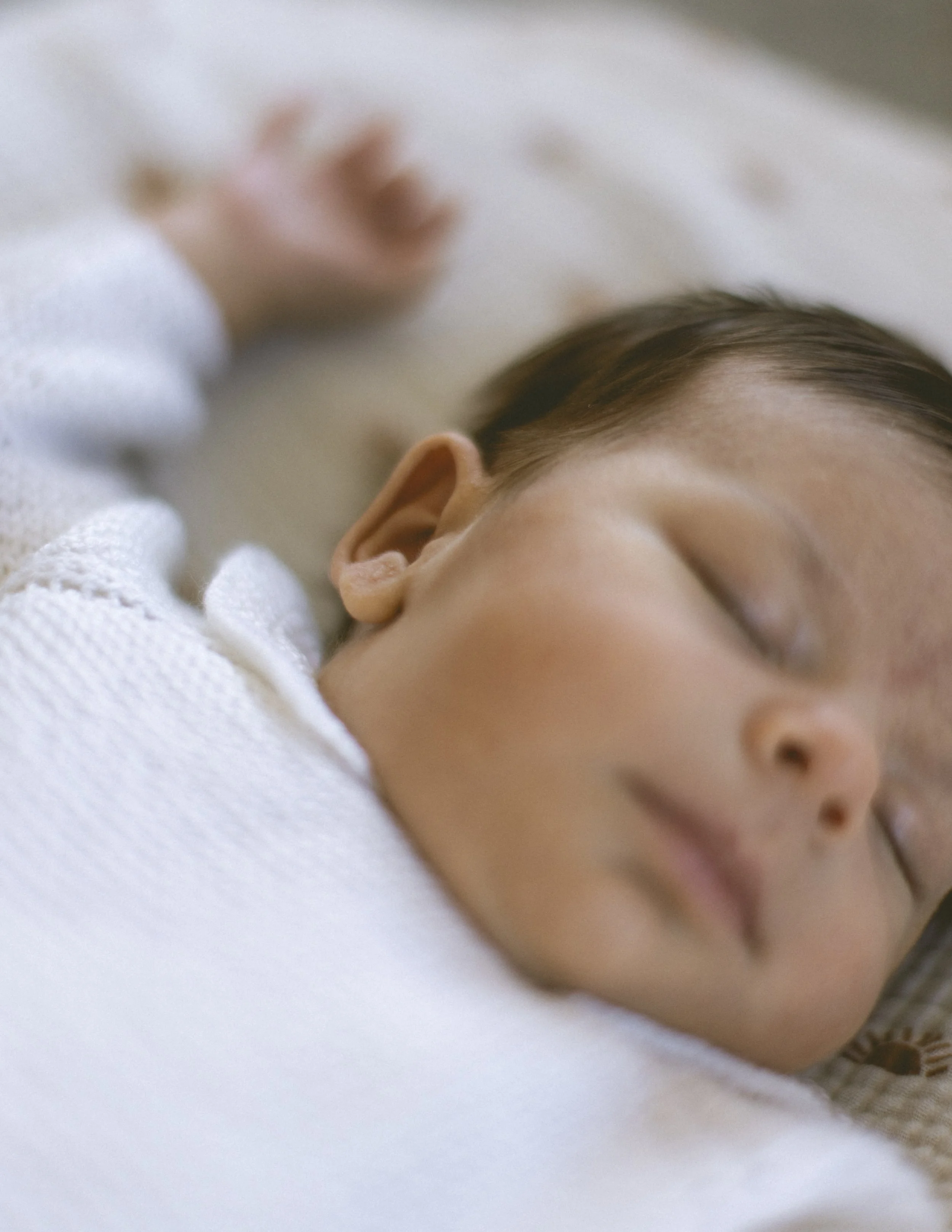 Baby Teo · Baja ·3.jpg