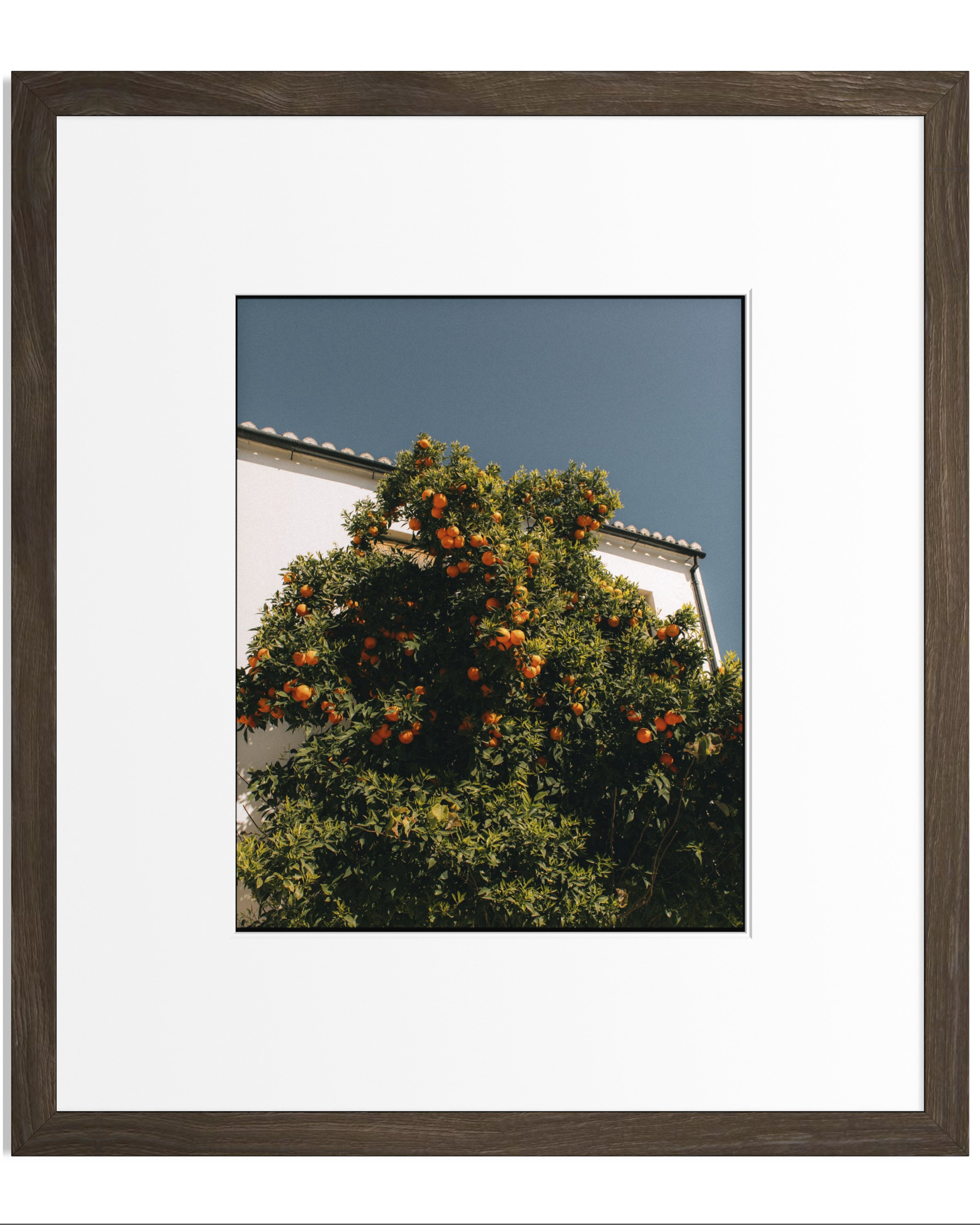 Andalucia on film · 18