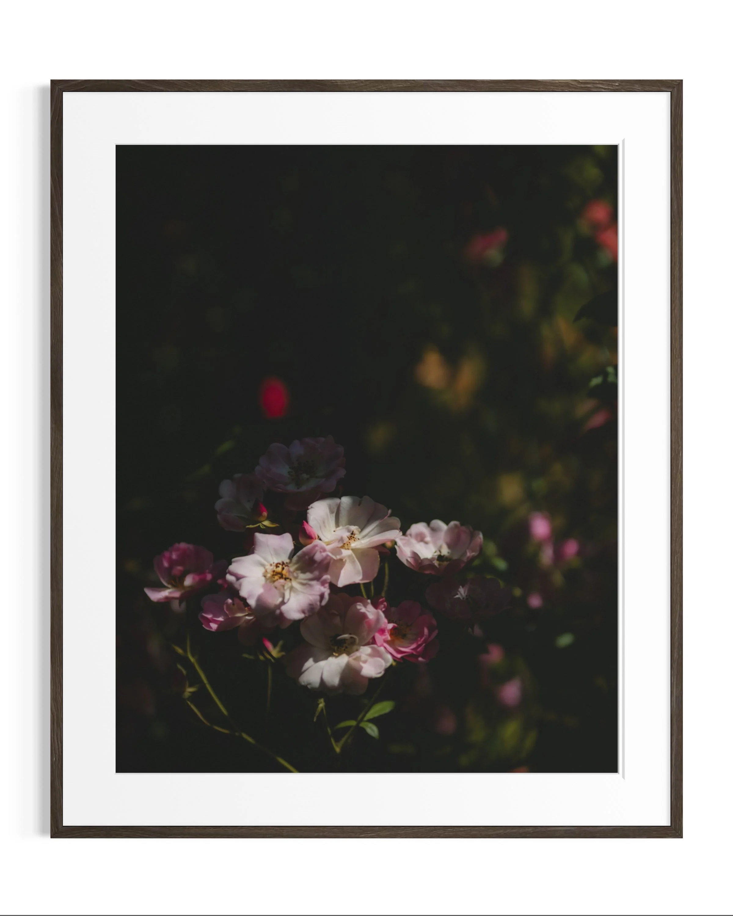 Giverny, in bloom · 22