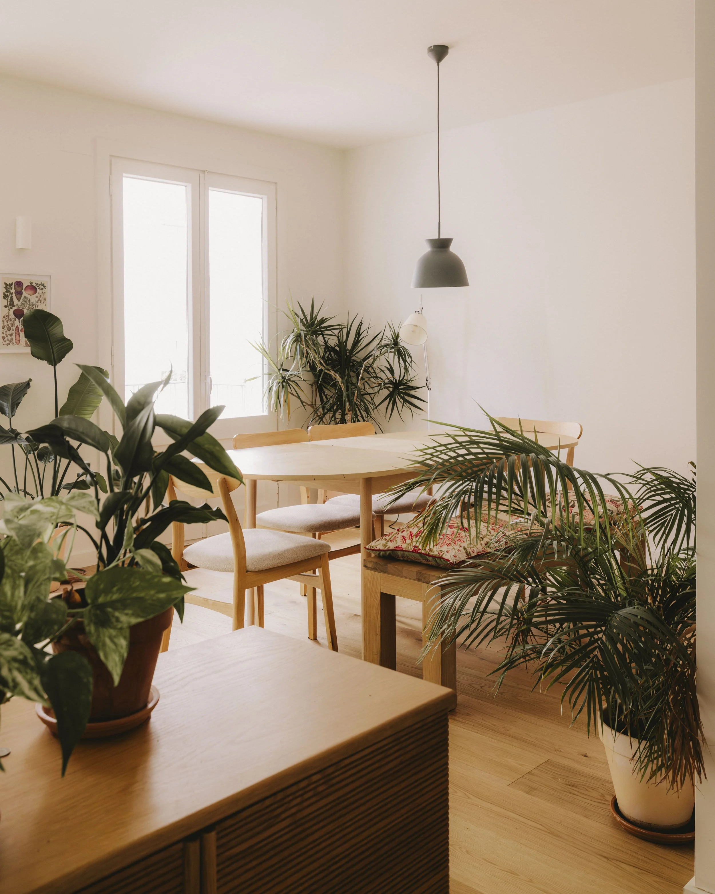 Aulestia i Pijoan ·18.jpg