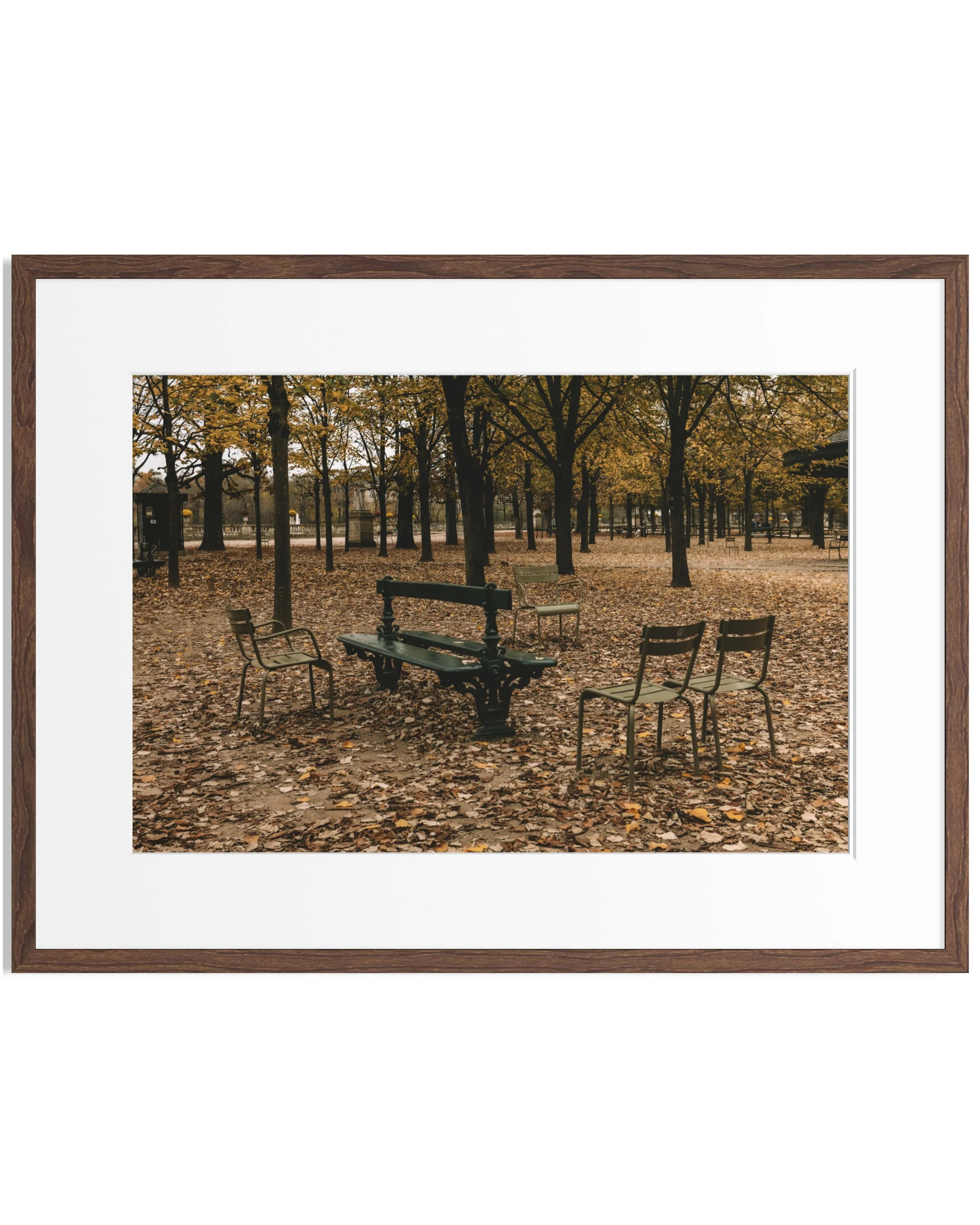 Notes from Paris · 29