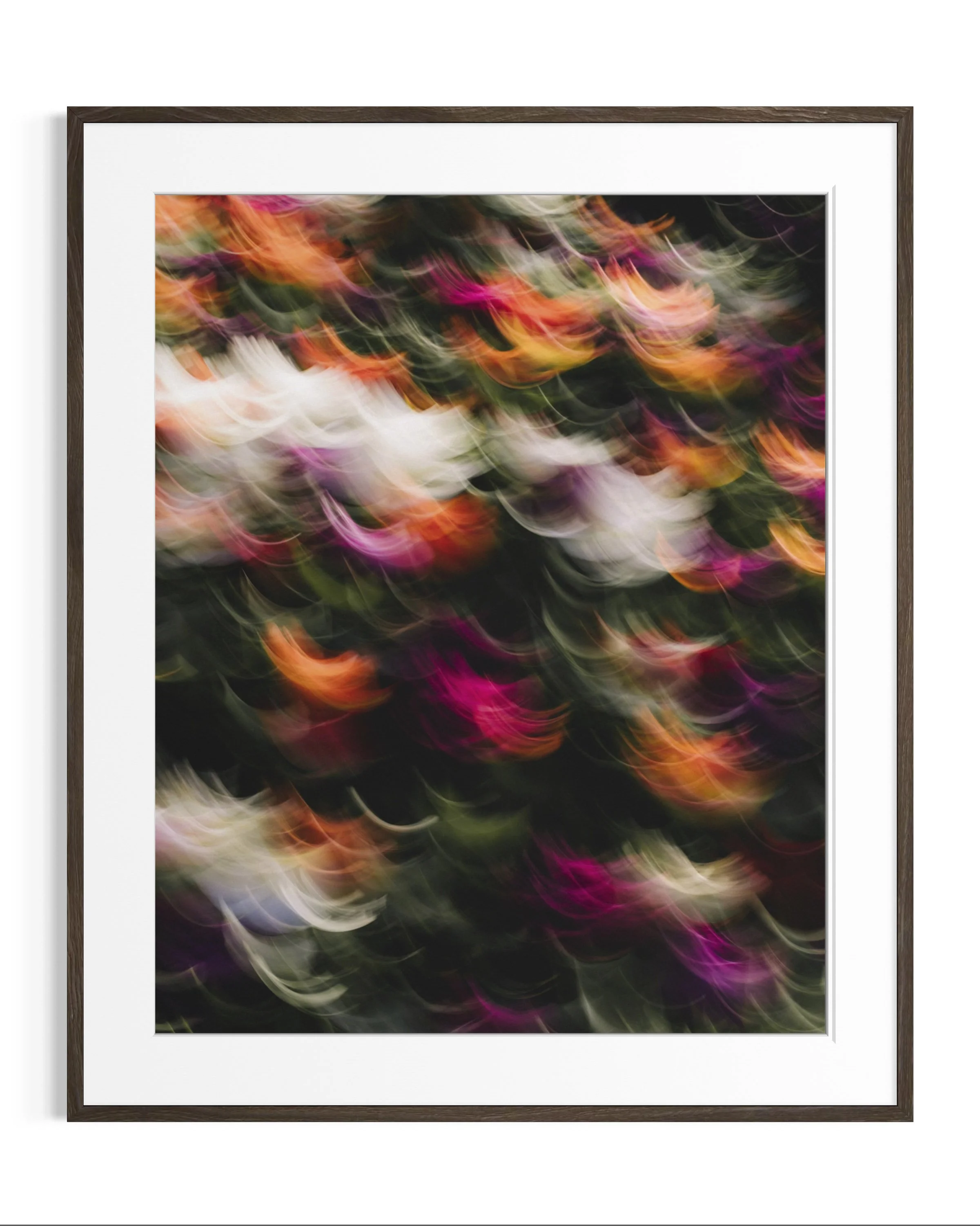 Flowers in motion · 1