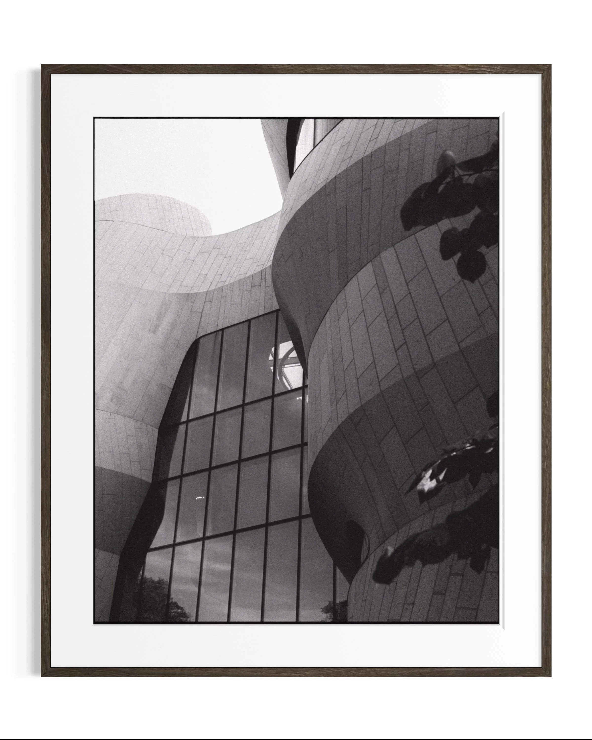 Forms of Natural History · 8