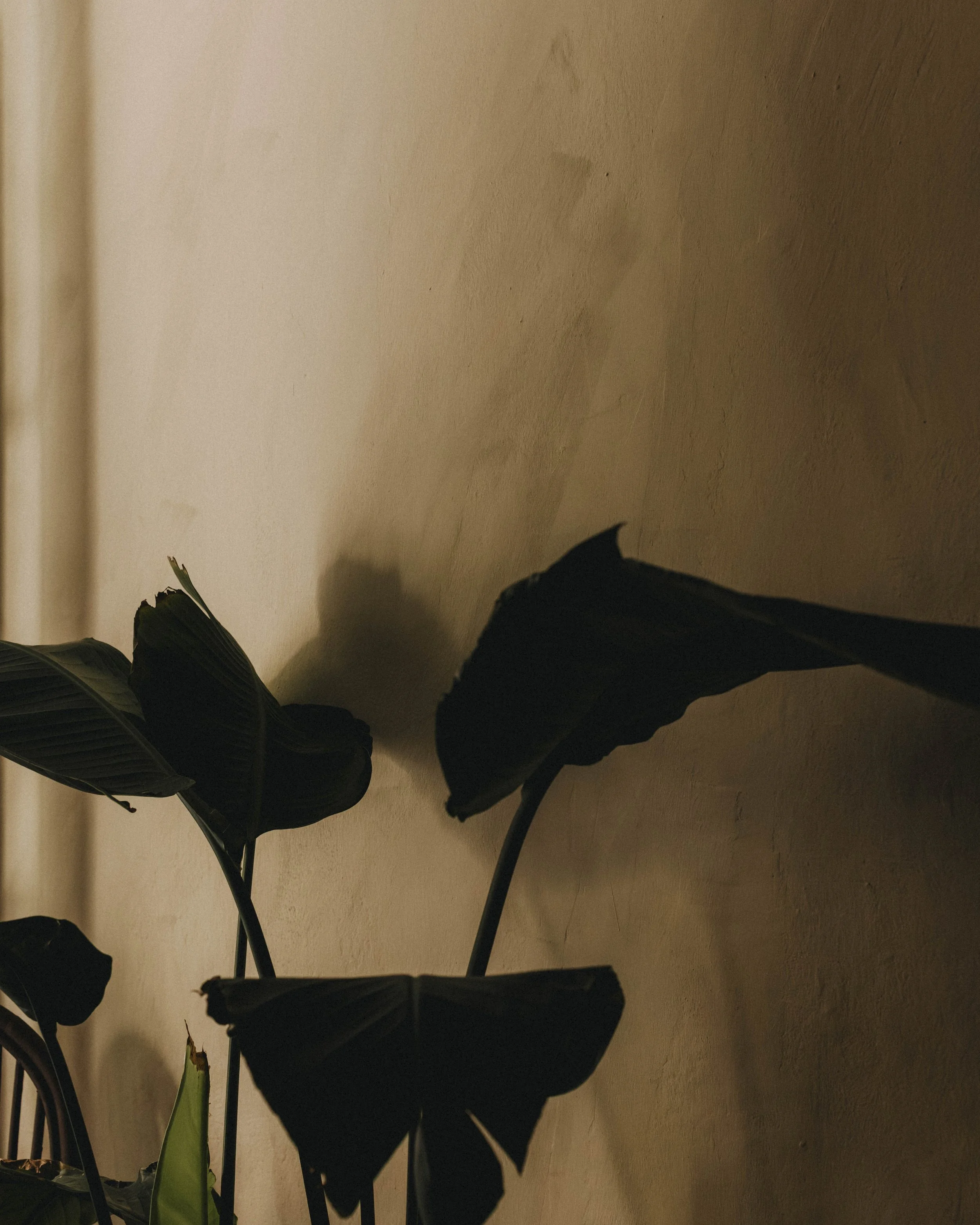 Assaoradors ·57 - Print.jpg