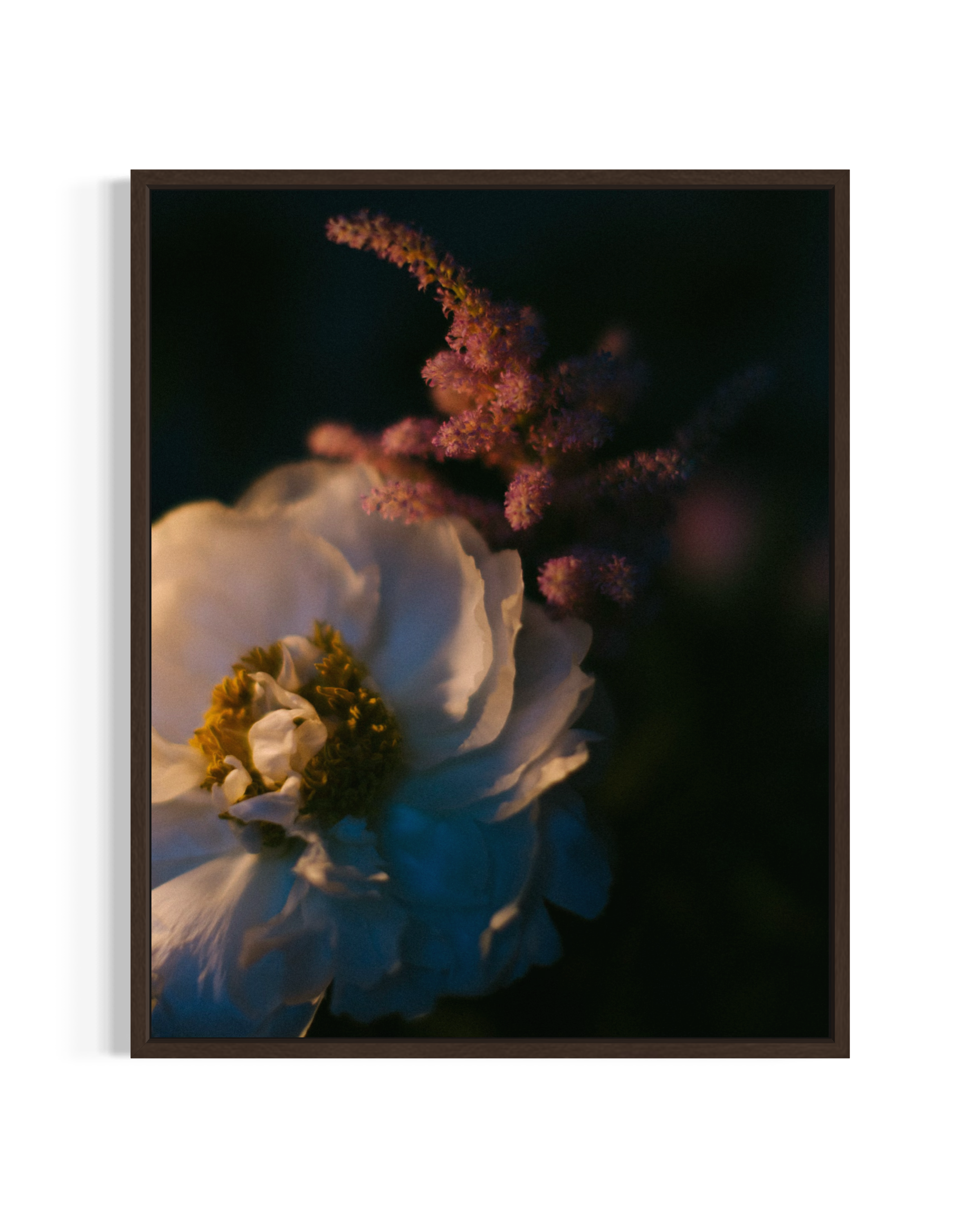 Blooming in the dark