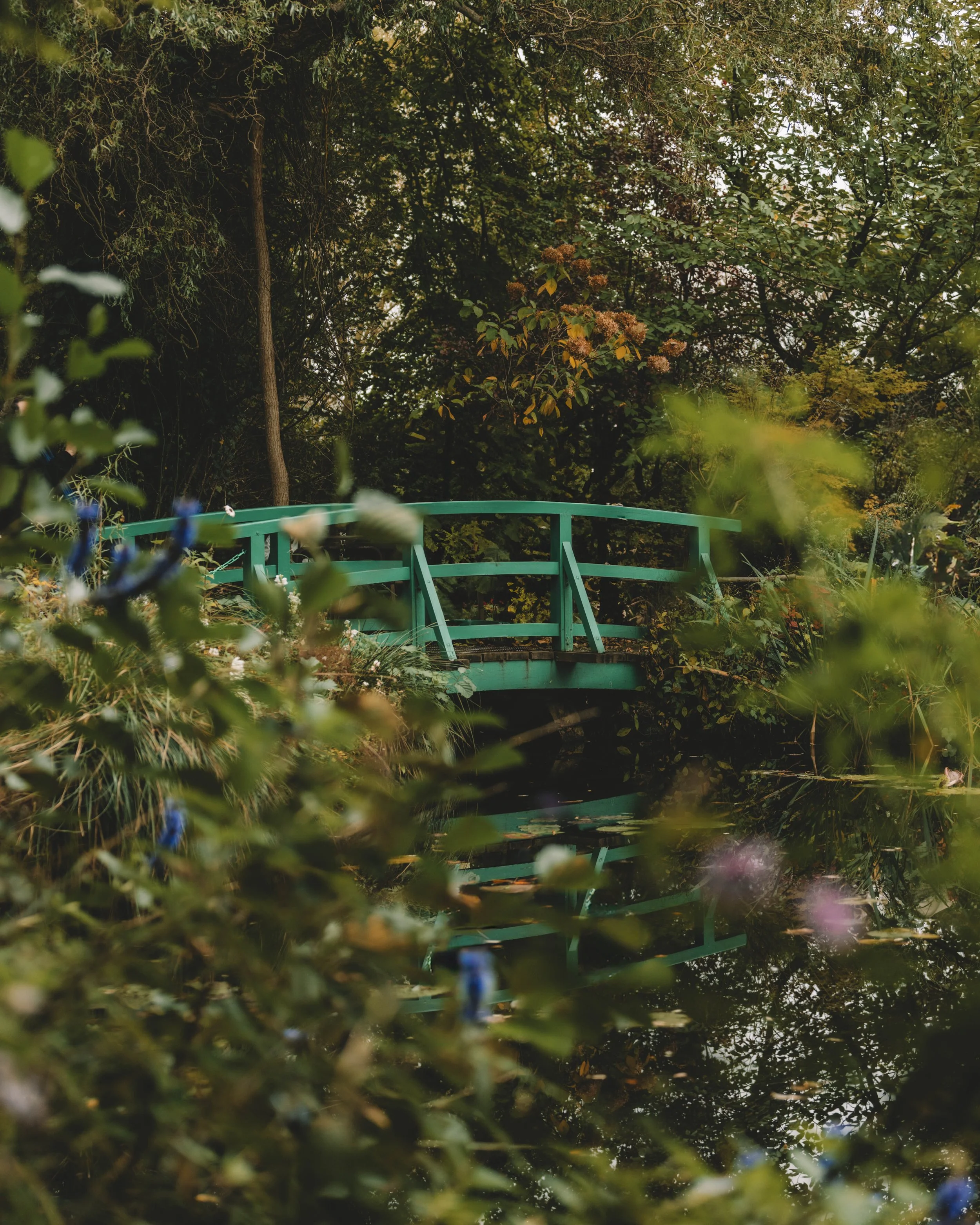 The Painter’s Garden