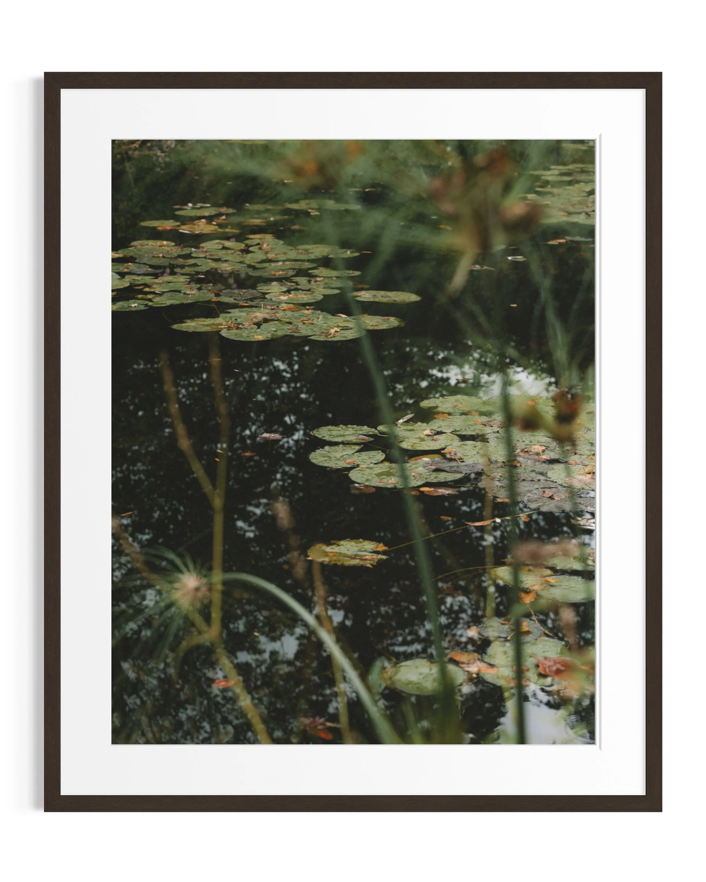 Giverny in amber tones · 18