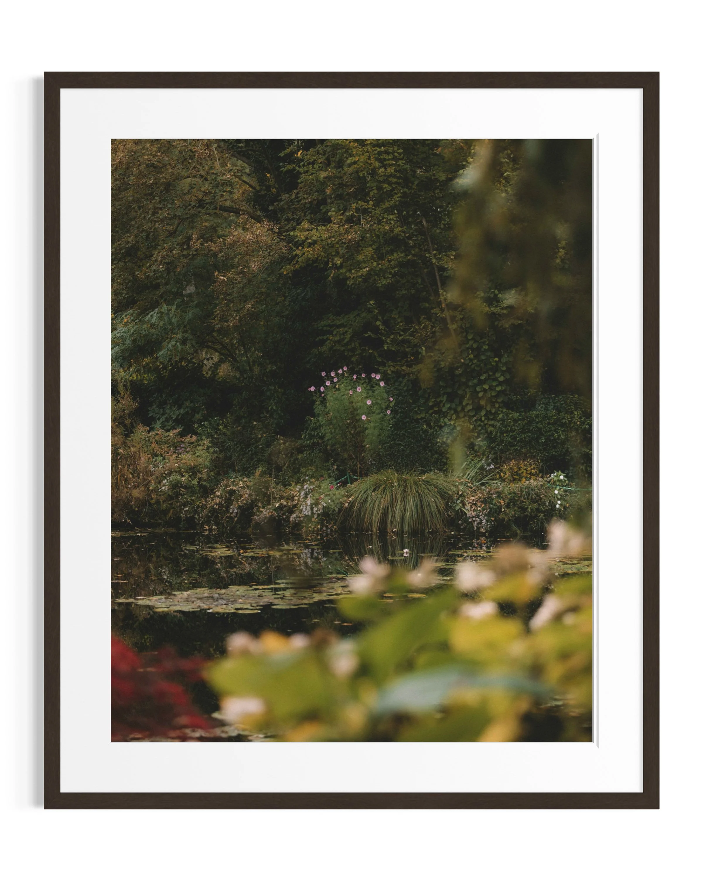 Giverny in amber tones · 15