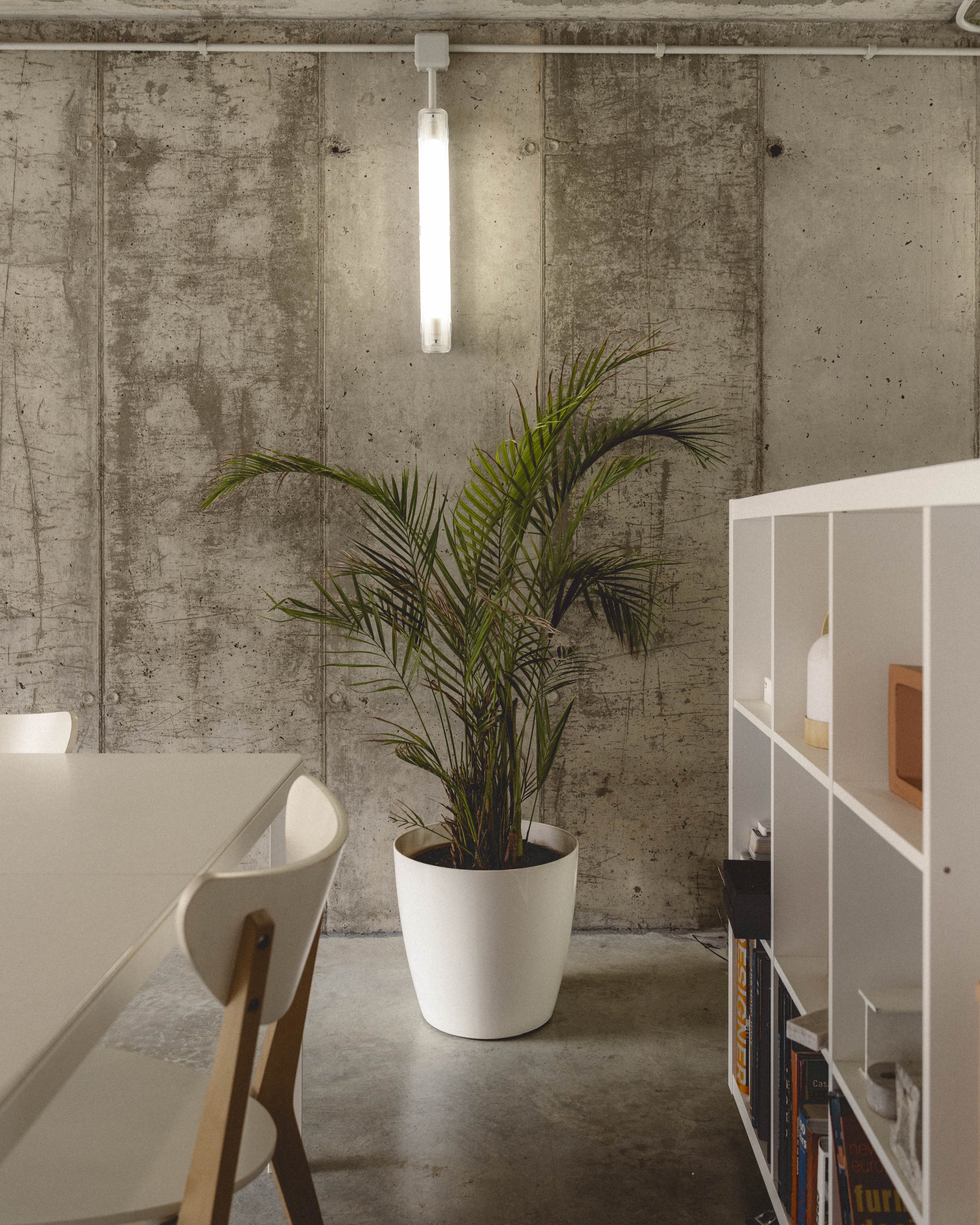 Eyvan Shoot equipo ·5.jpg