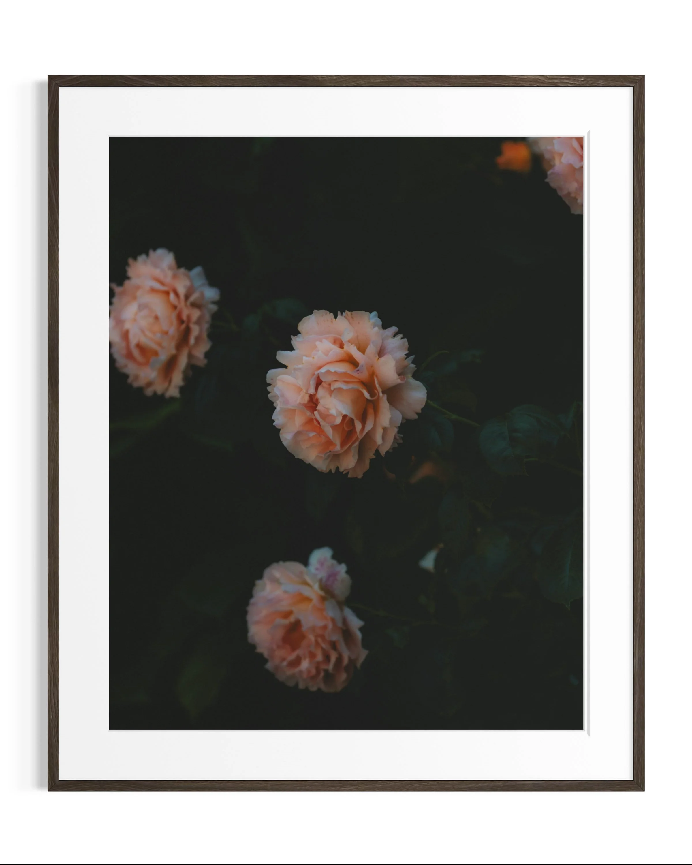 Giverny, in bloom · 4