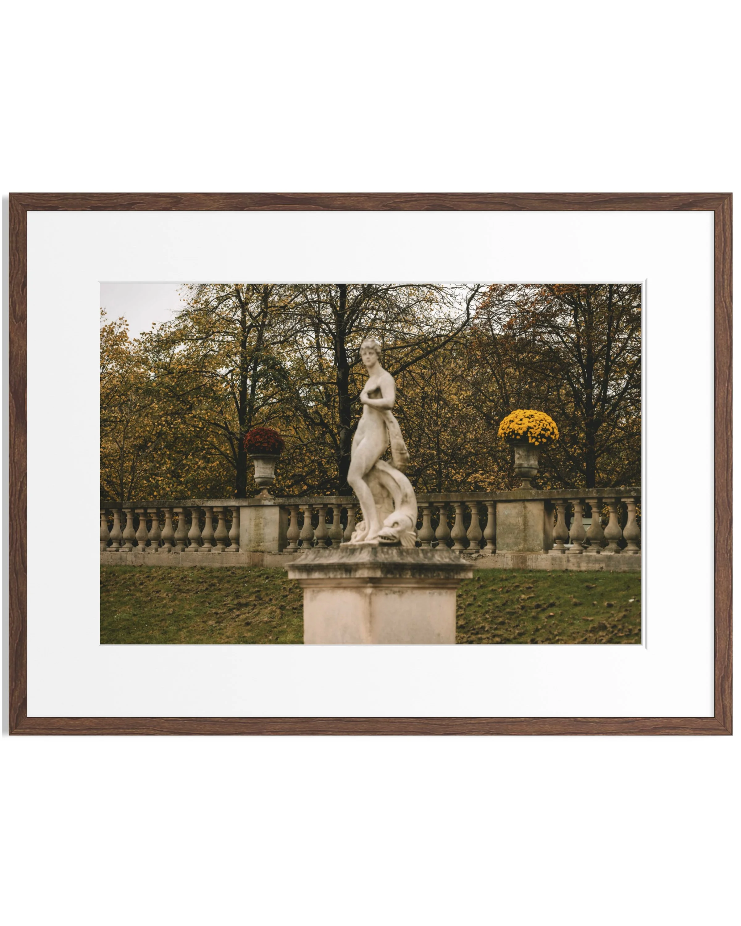 Notes from Paris · 30