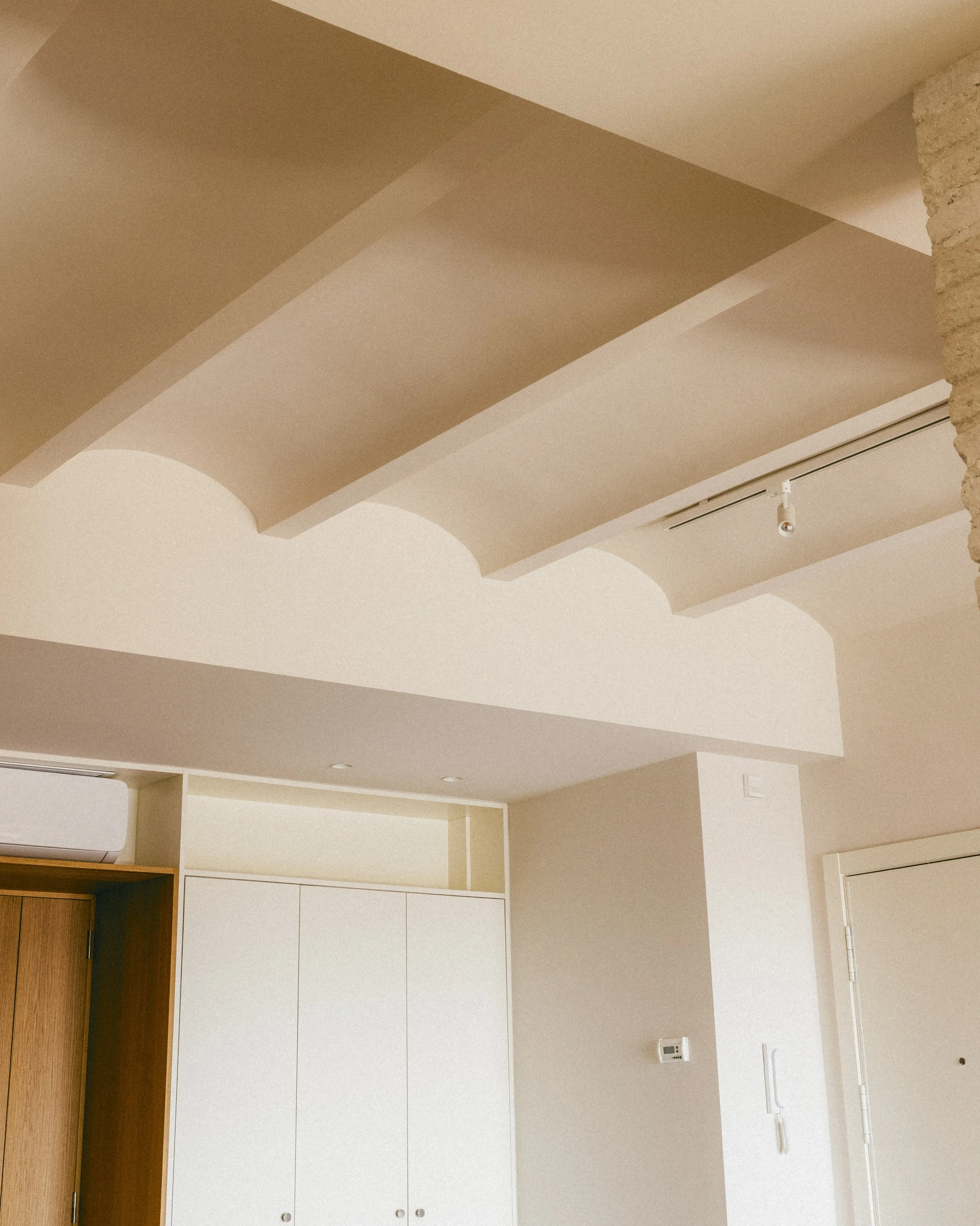 Francesc Carbonell·8.jpg