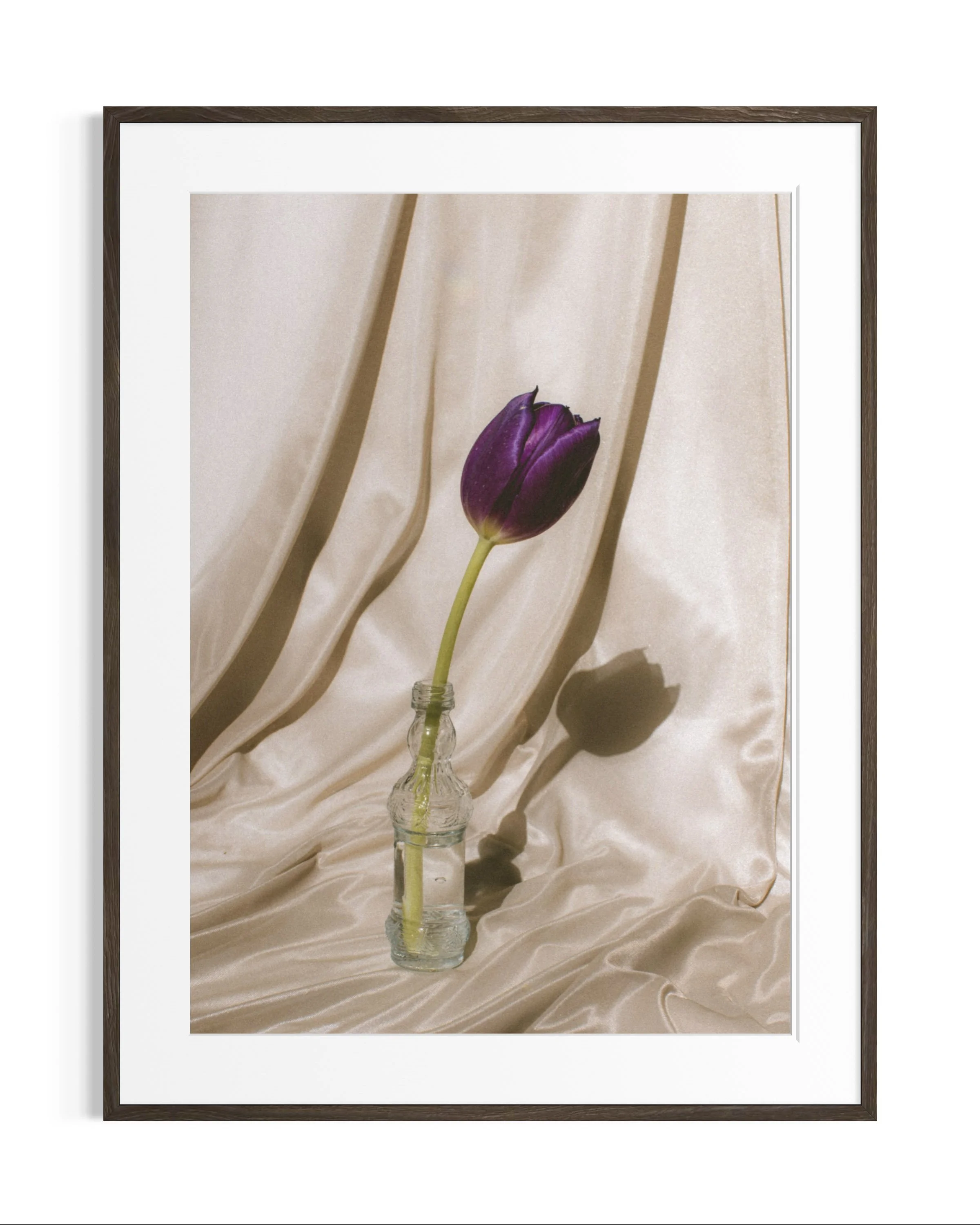 Still life studies · 1