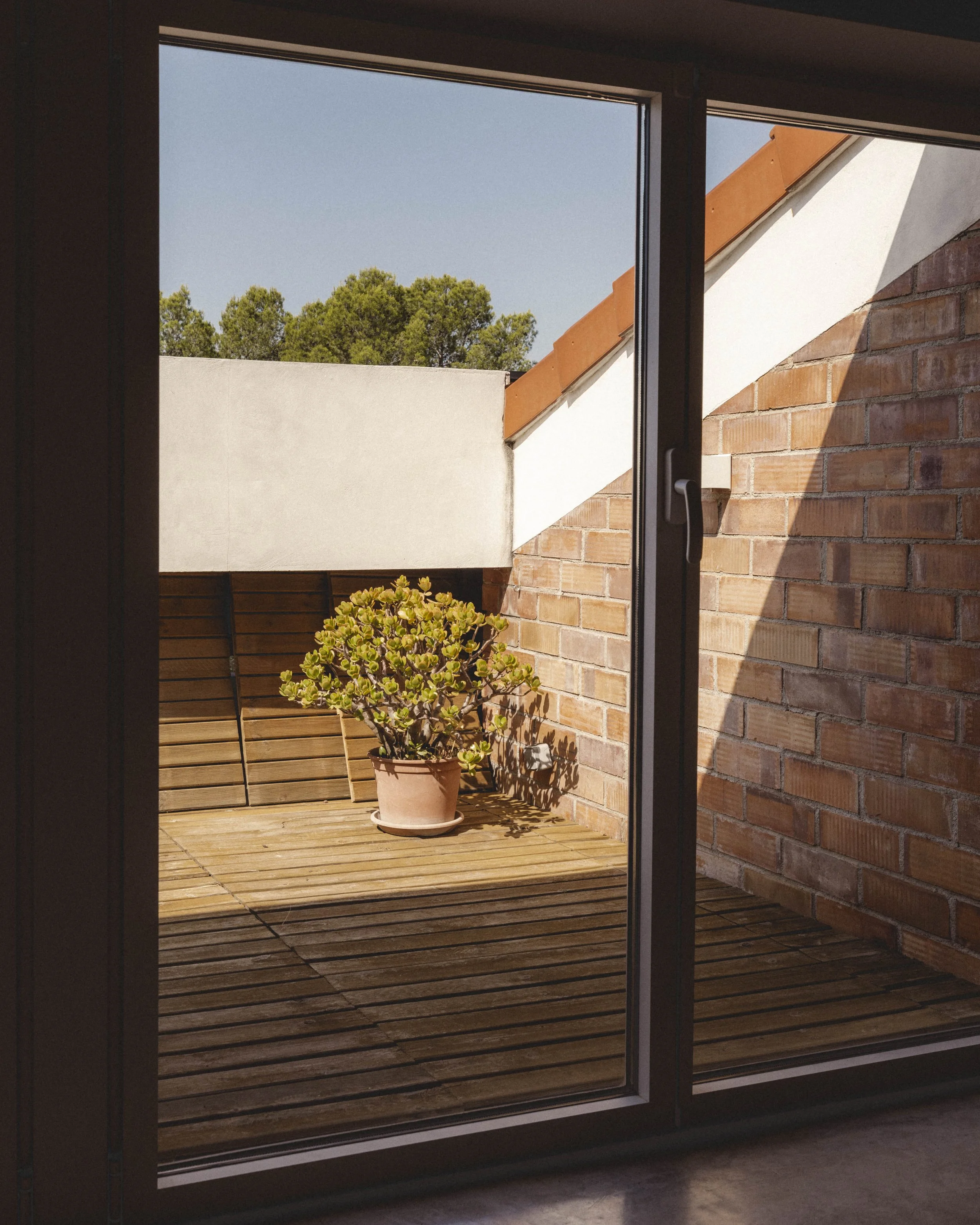 Castellbisbal ·45.jpg