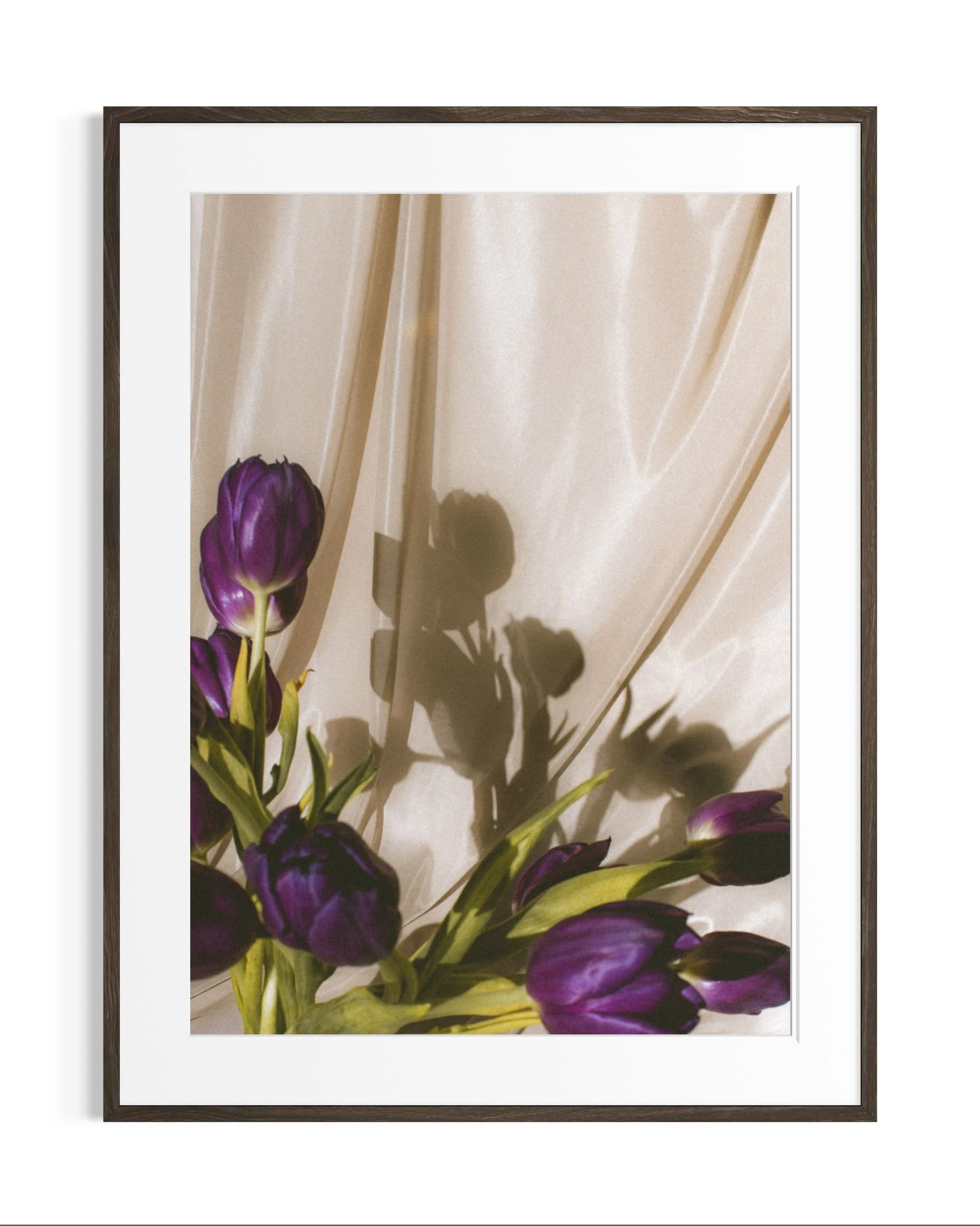 Still life studies · 16