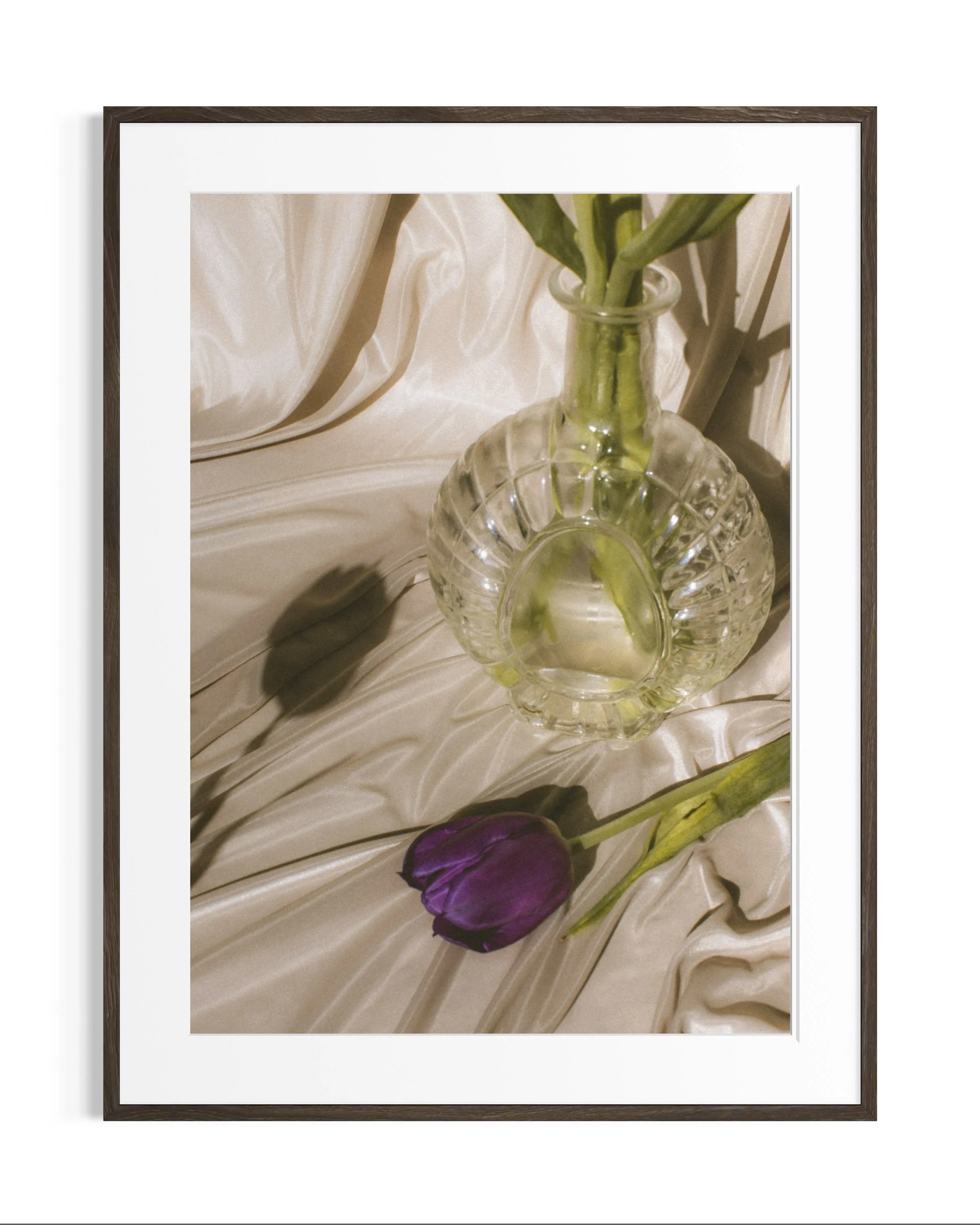 Still life studies · 4