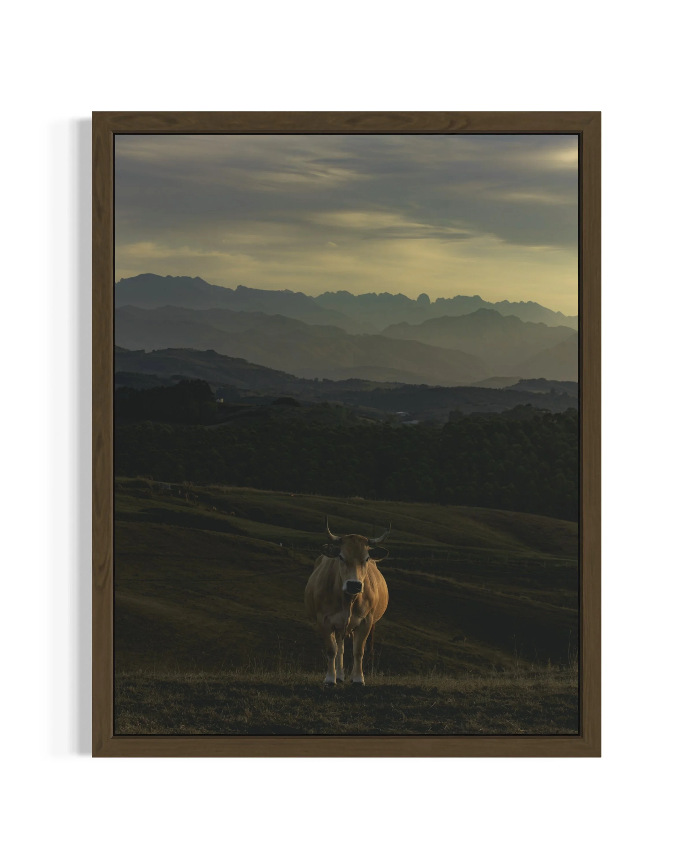 Cantabria · 47