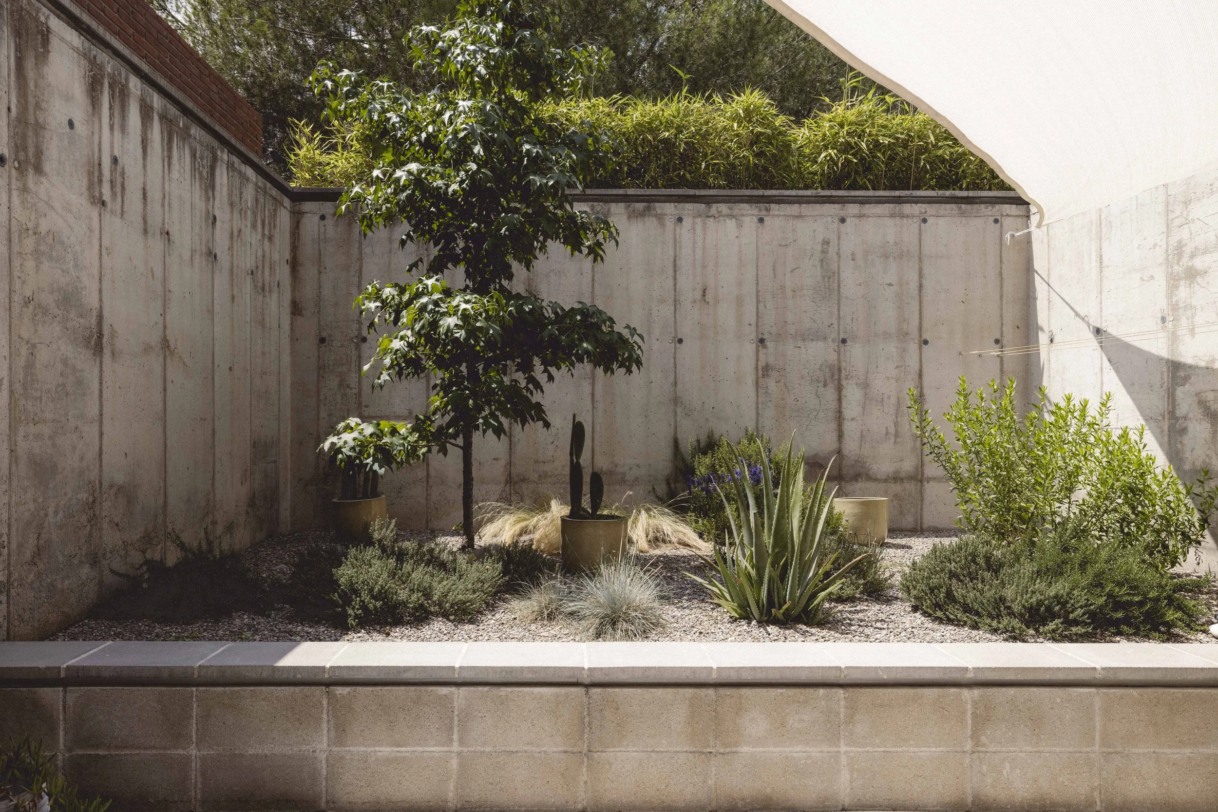 Eyvan Shoot equipo ·13.jpg