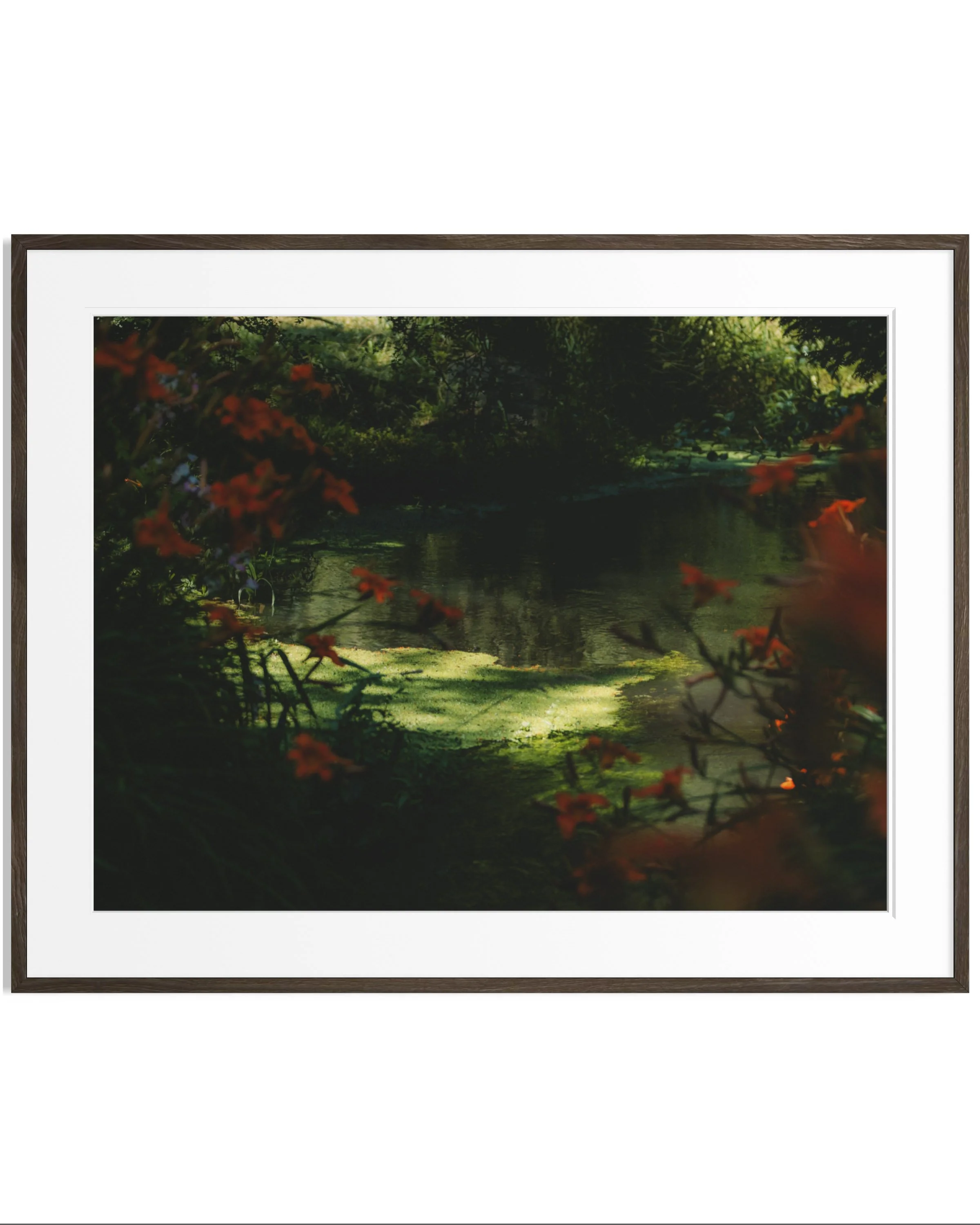 Giverny, in bloom · 21