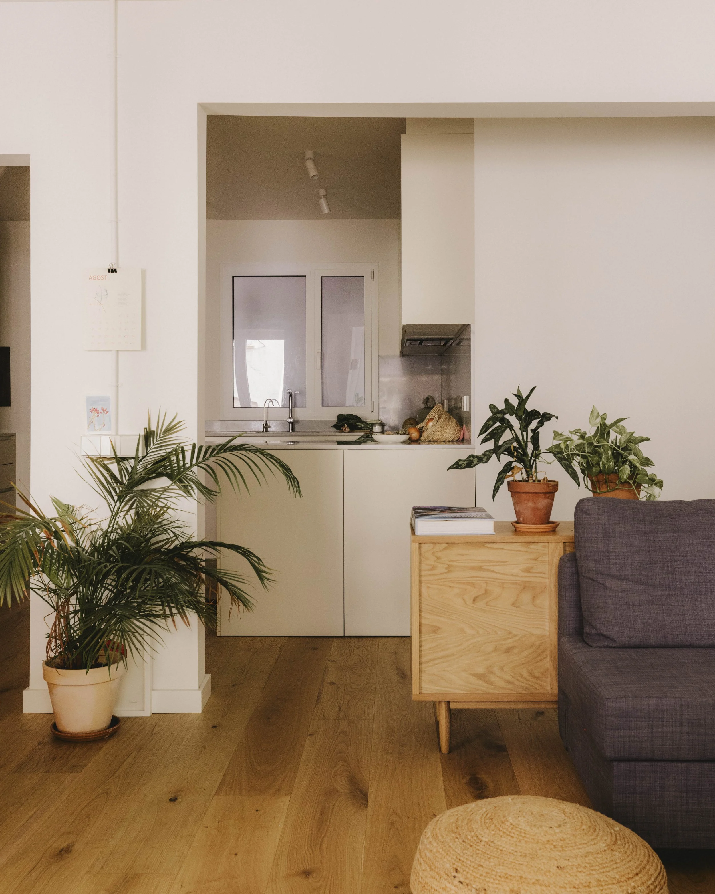 Aulestia i Pijoan ·28.jpg