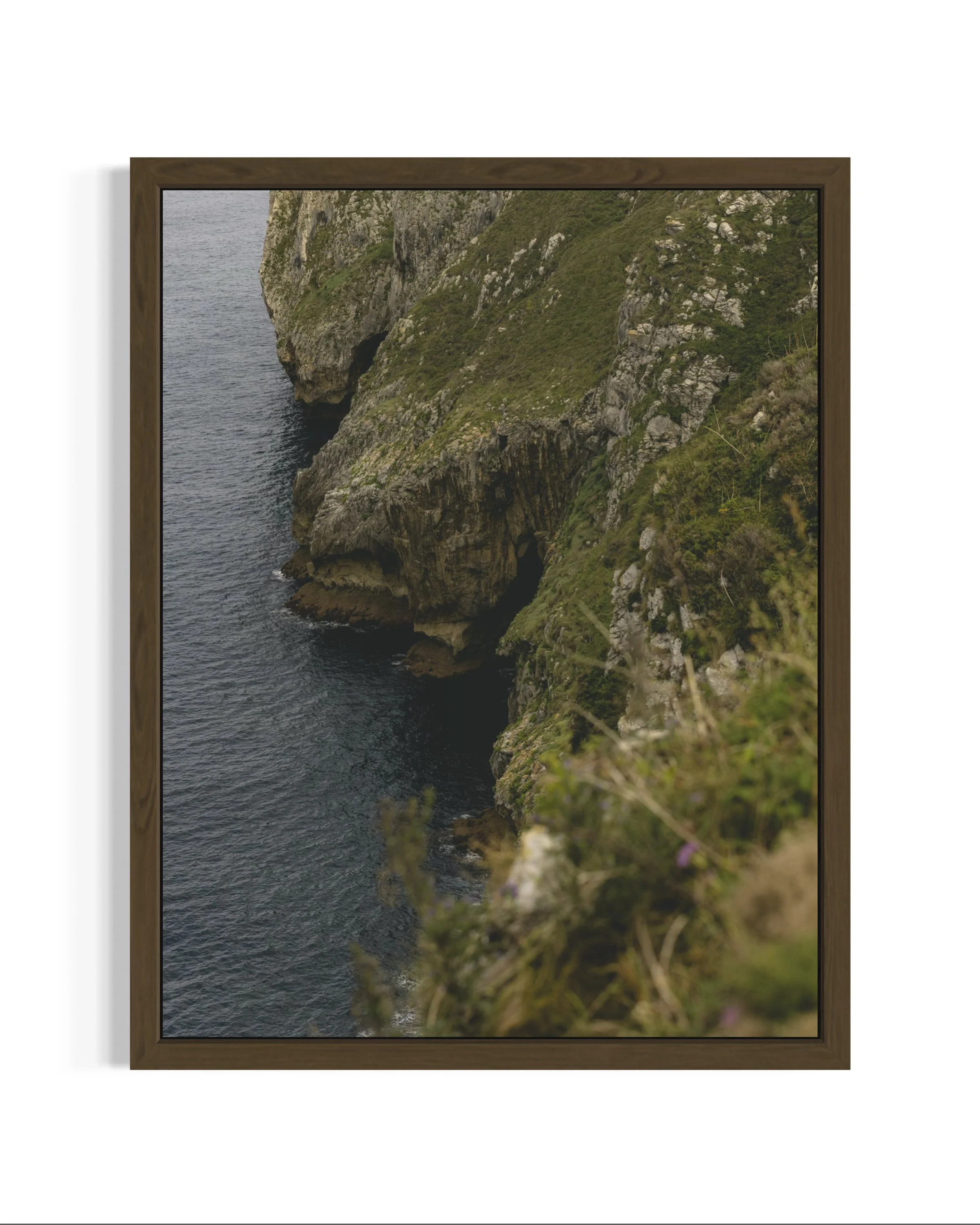 Cantabria · 14
