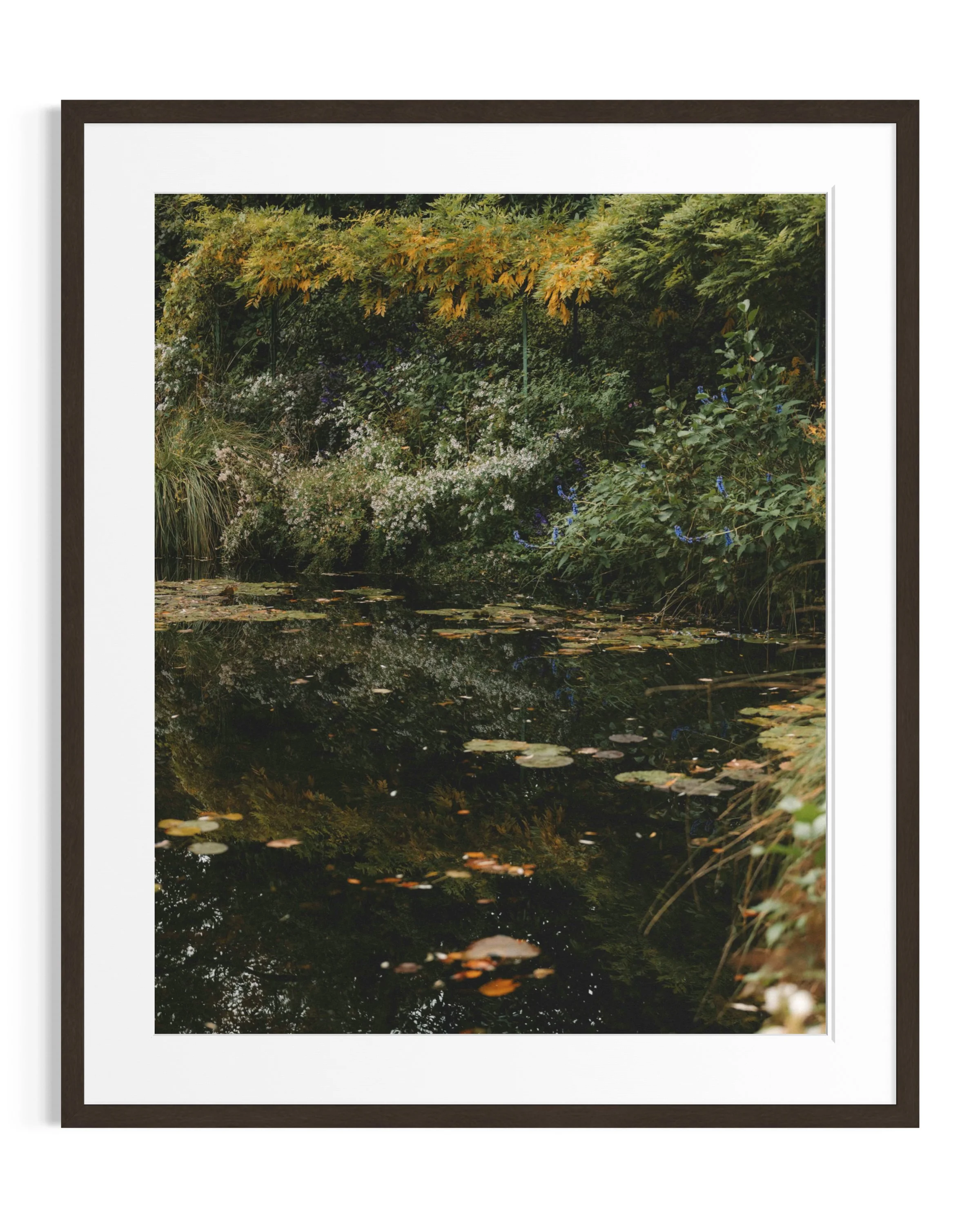 Giverny in amber tones · 12
