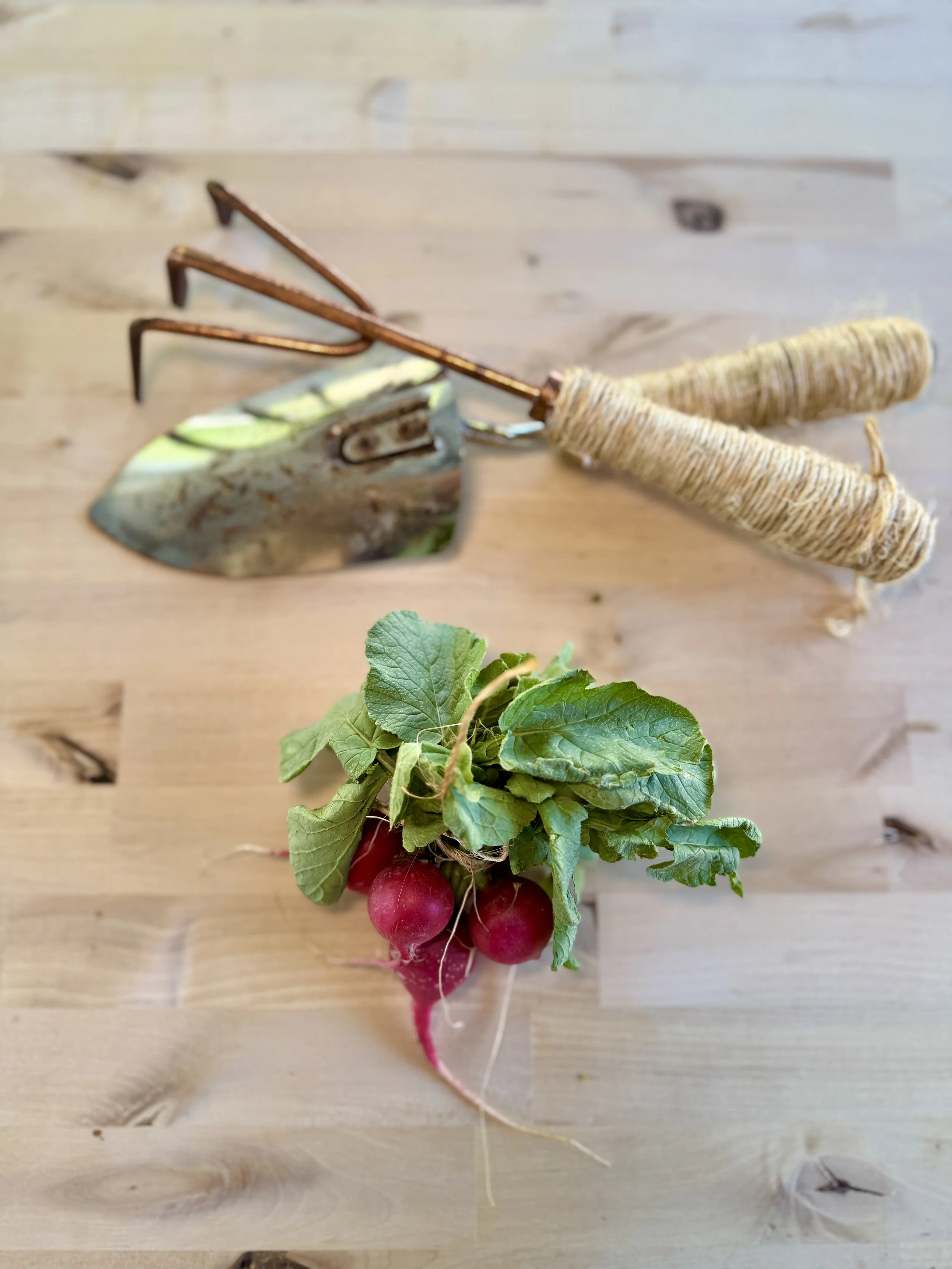 A bunch of radishes with green leaves and red roots on a wooden surface, with gardening tools including a trowel and a hand rake nearby.