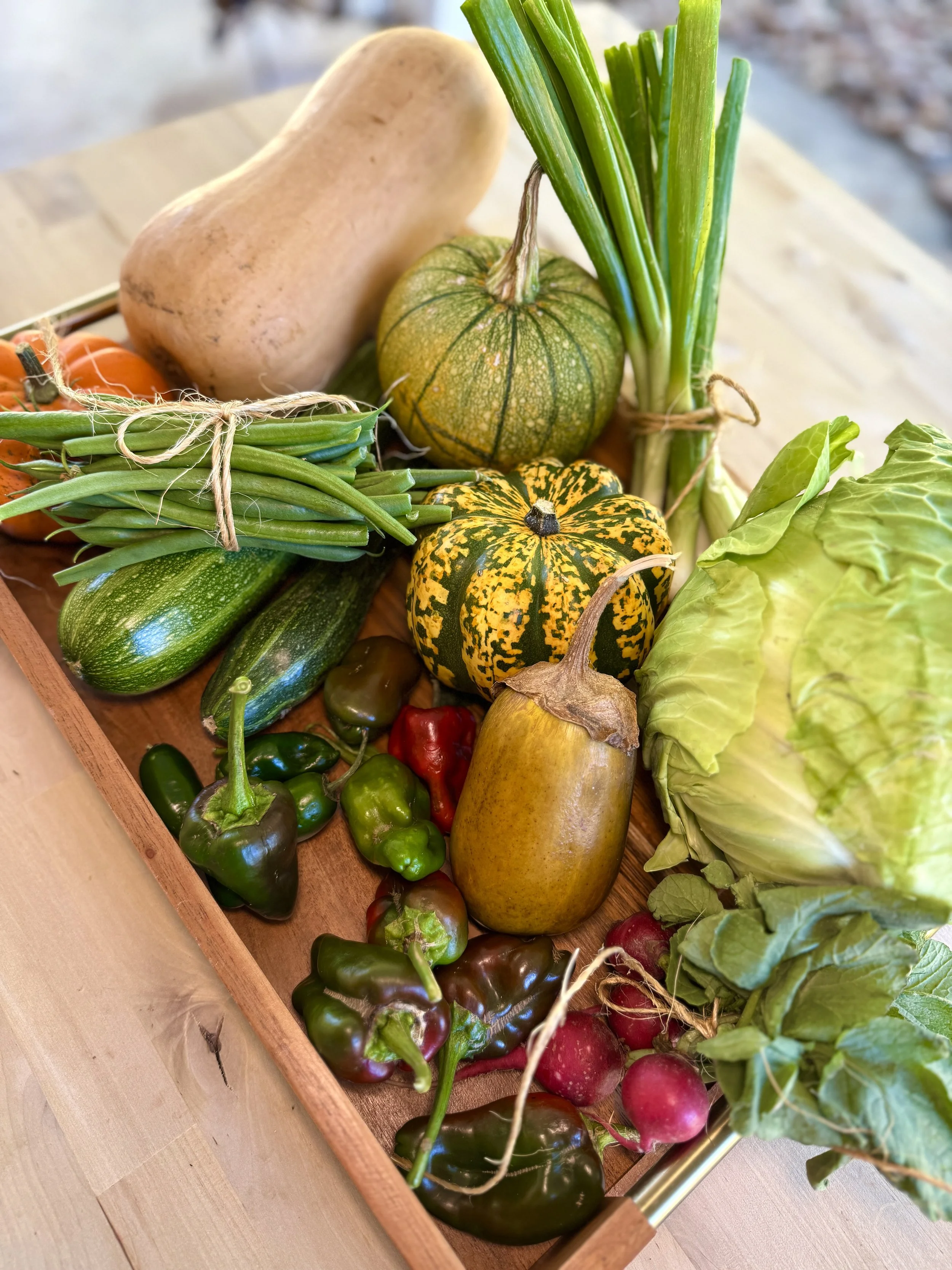 A wooden tray filled with various fresh vegetables including green beans, zucchinis, radishes, eggplants, lettuce, pumpkins, peppers, and a butternut squash.