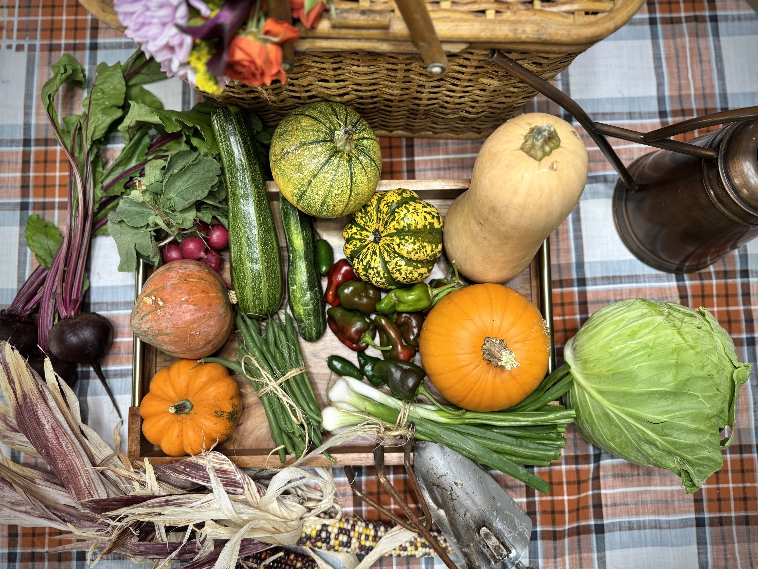 Assorted fresh vegetables and squash on a wooden tray, including pumpkins, zucchini, gourds, green beans, radishes, onions, green peppers, cabbage, and a bundle of scallions, arranged on a plaid tablecloth.