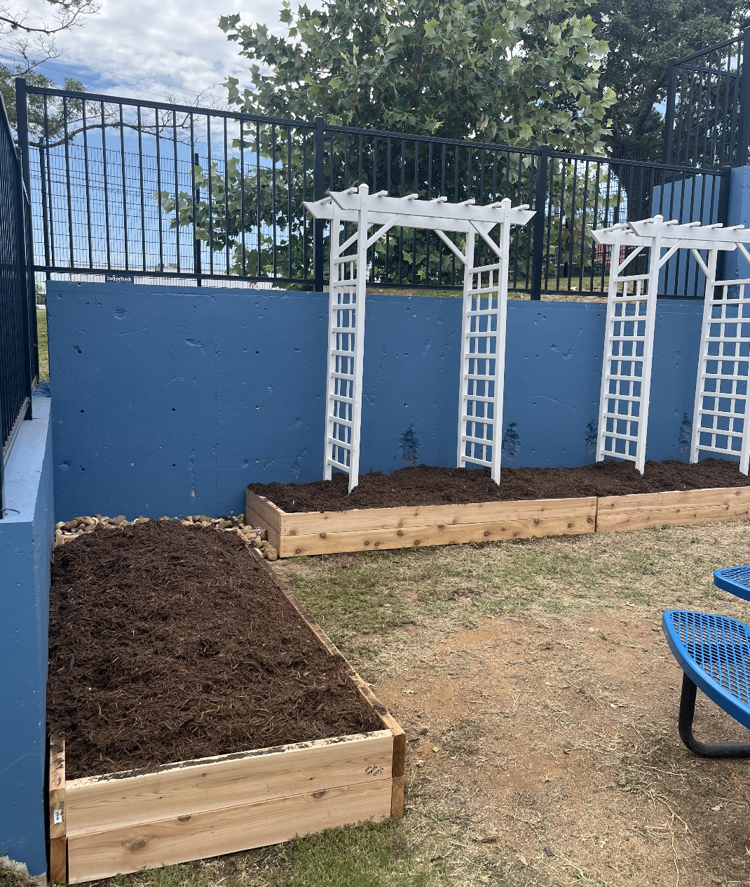 Raised garden beds with soil and white trellises in an outdoor garden area, with a blue wall and black fence in the background.