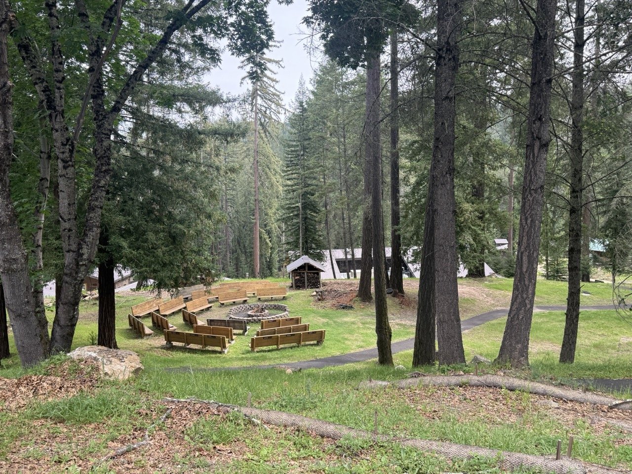 The small amphitheater at Enchanted Hills is one of the locations for outdoor education at Camp Coffee Shop.