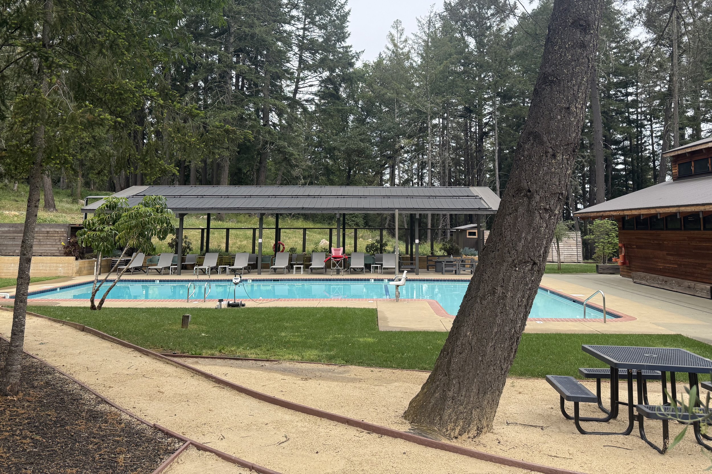 POOL PARTY + BBQ 