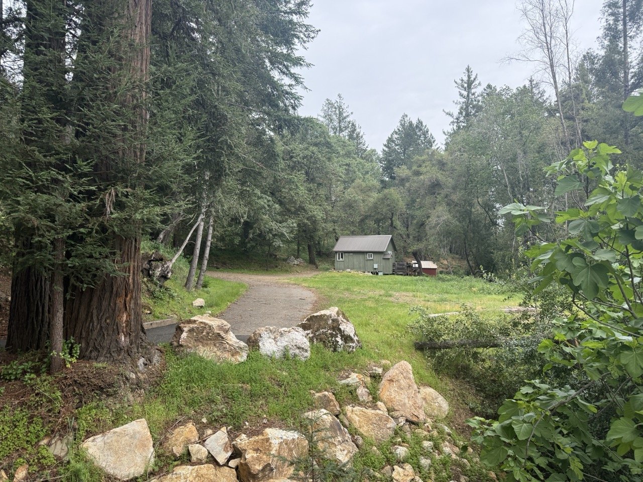 The tent campground at Camp Coffee Shop. There is a nearby shared bath and shower. Towels are provided.