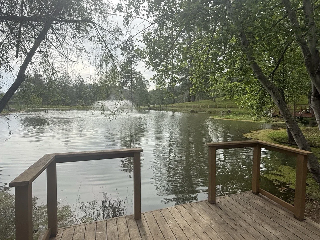 The lake at Enchanted Hills is encircled by walking paths and redwood forest.