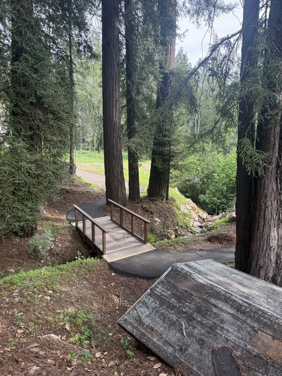 Camp Coffee Shop Attendees will get to enjoy the beautiful natural scenery and grounds at Enchanted Hills.