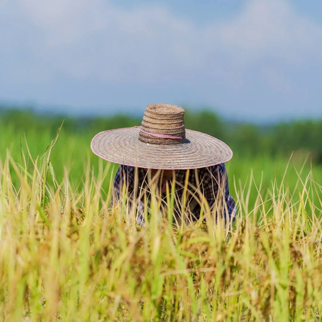 The Year of the Woman Farmer